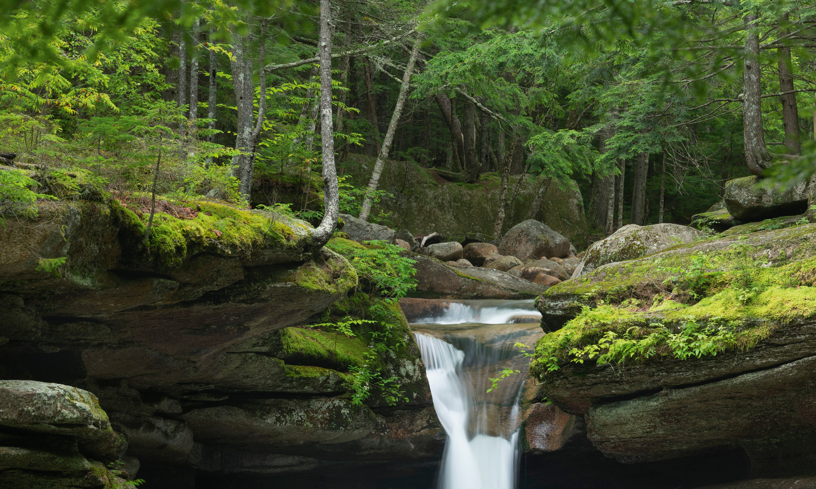Sabbadayfalls-120x120cm.jpg