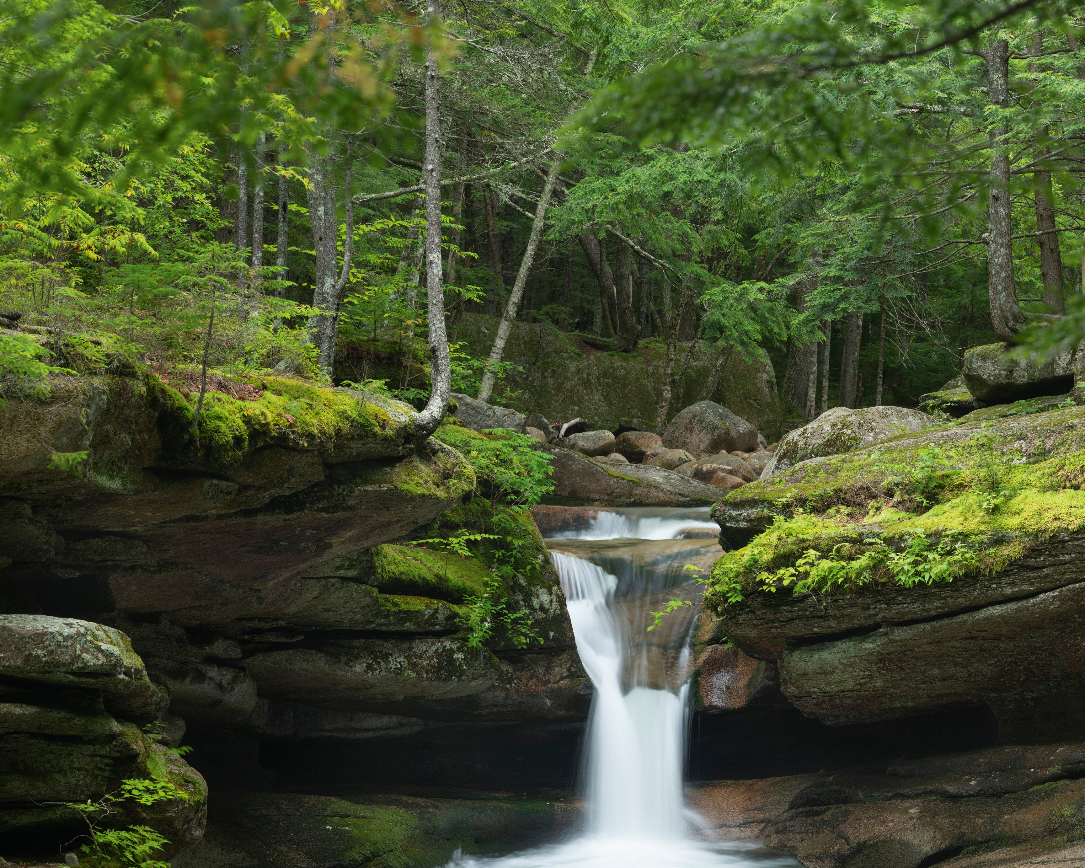 Sabbadayfalls-120x120cm.jpg