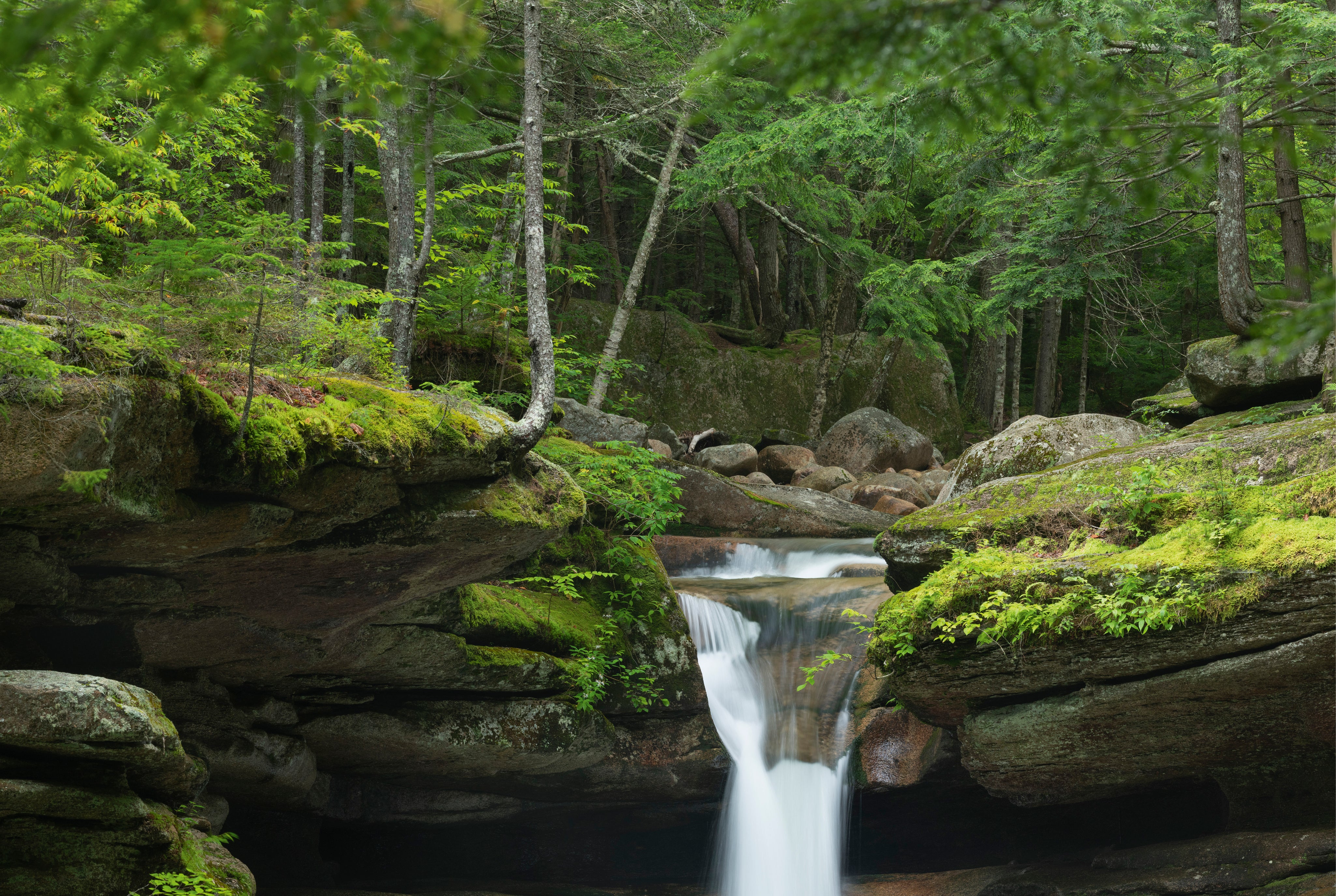 Sabbadayfalls-150x100cm.jpg