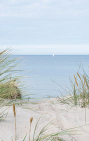Sand and sea