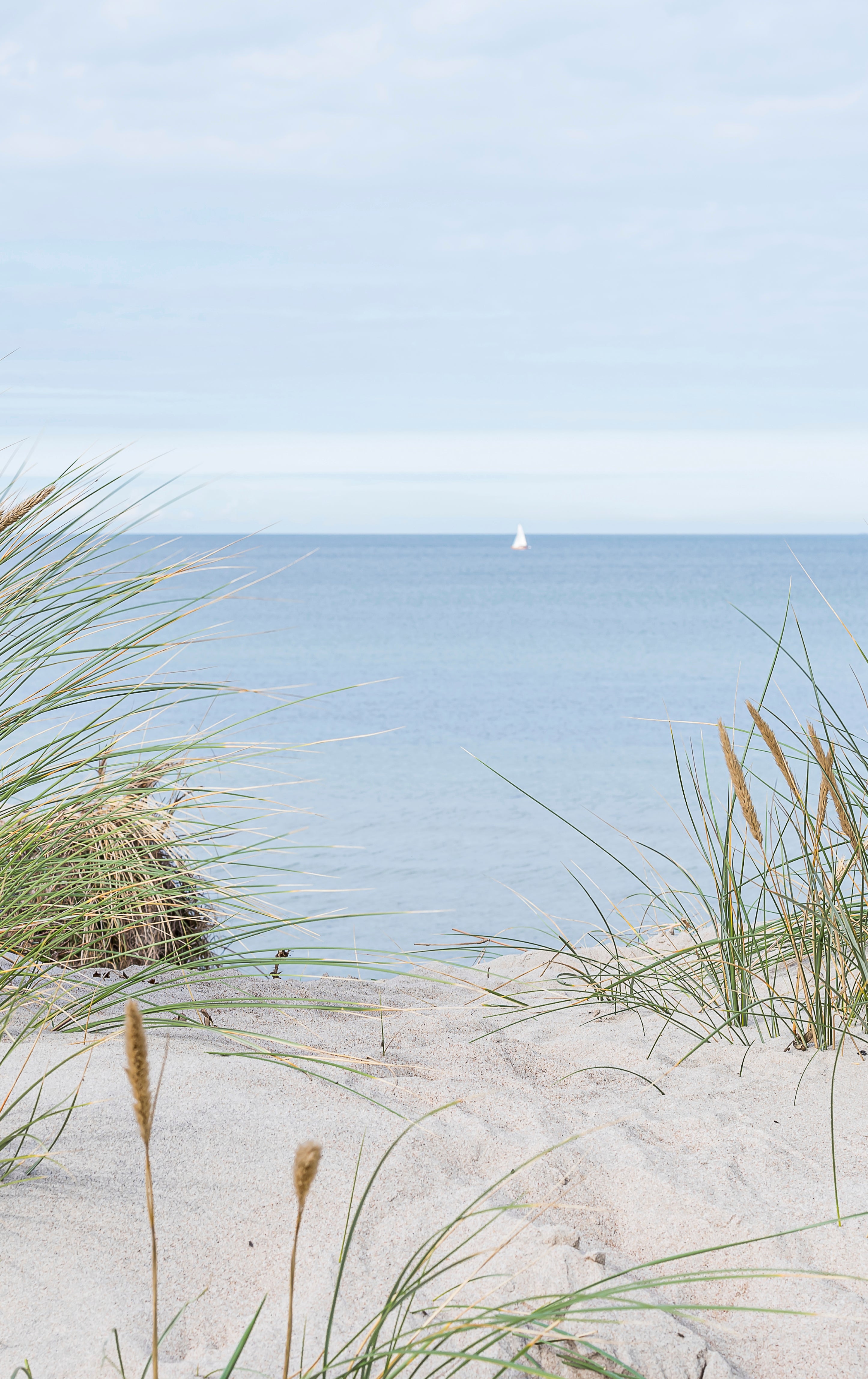 Sand and sea