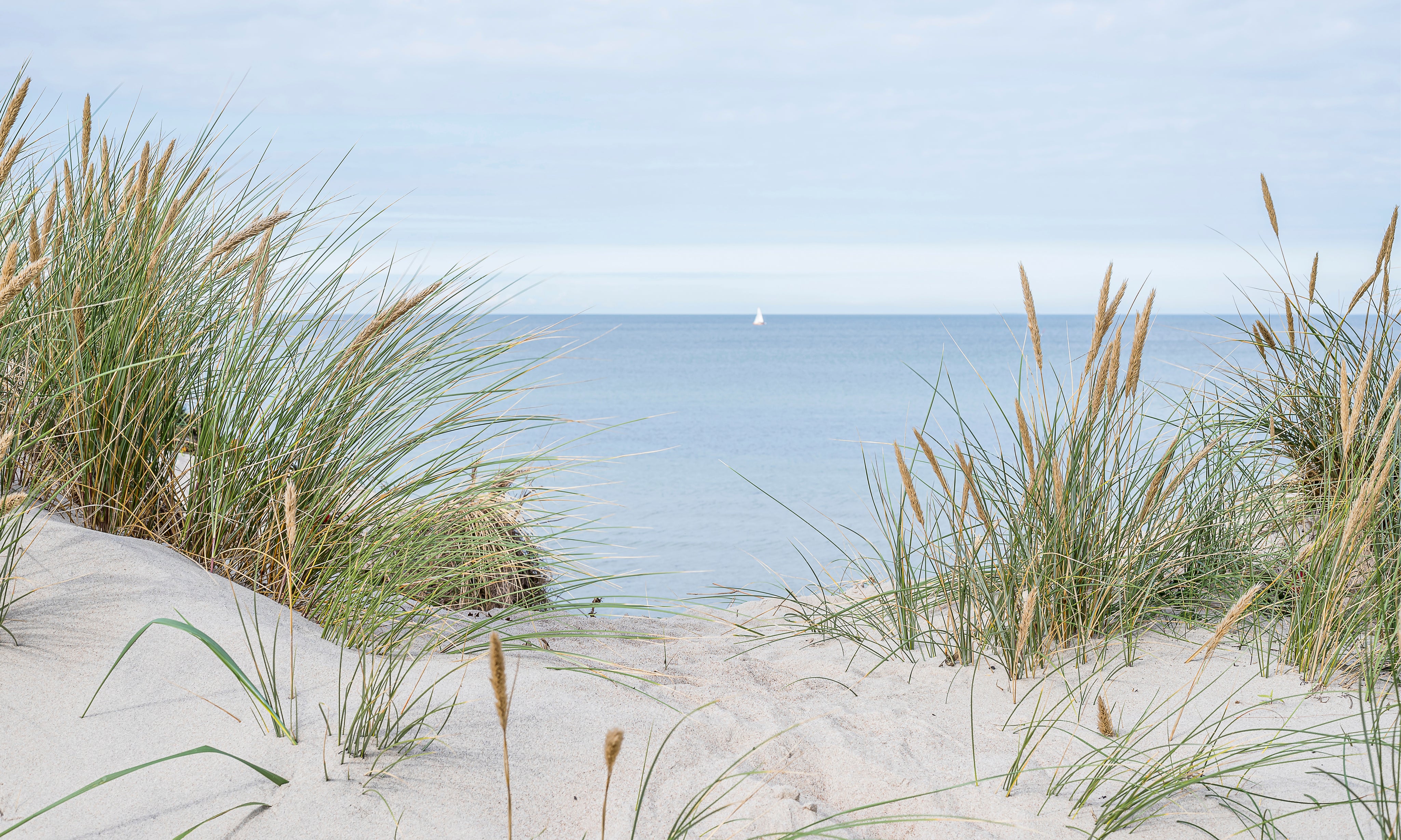 Sandandsea-150x100cm.jpg