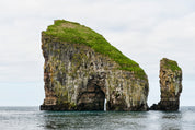 Sea guardians