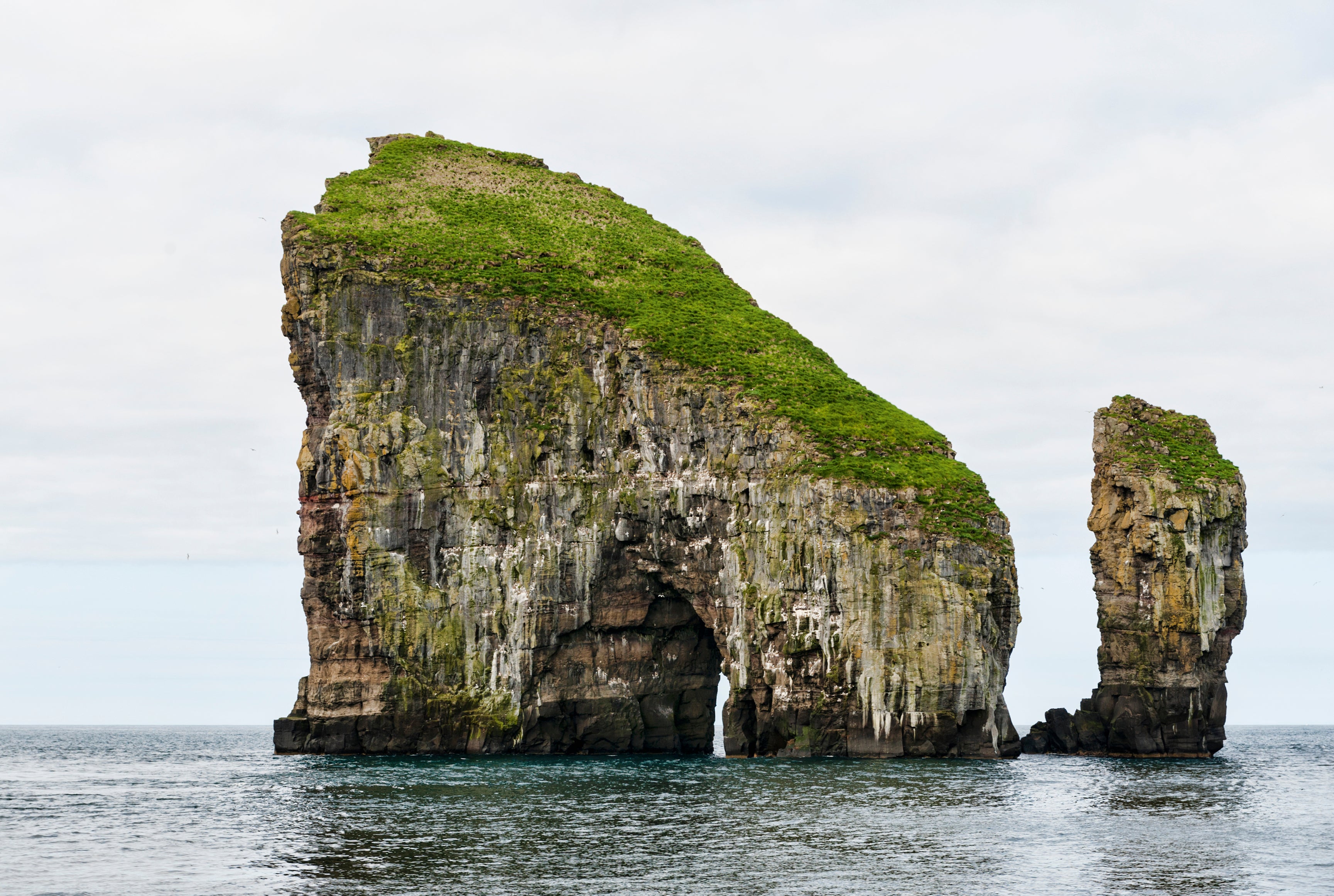 Sea guardians