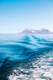 Sea pulse