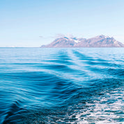 Sea pulse