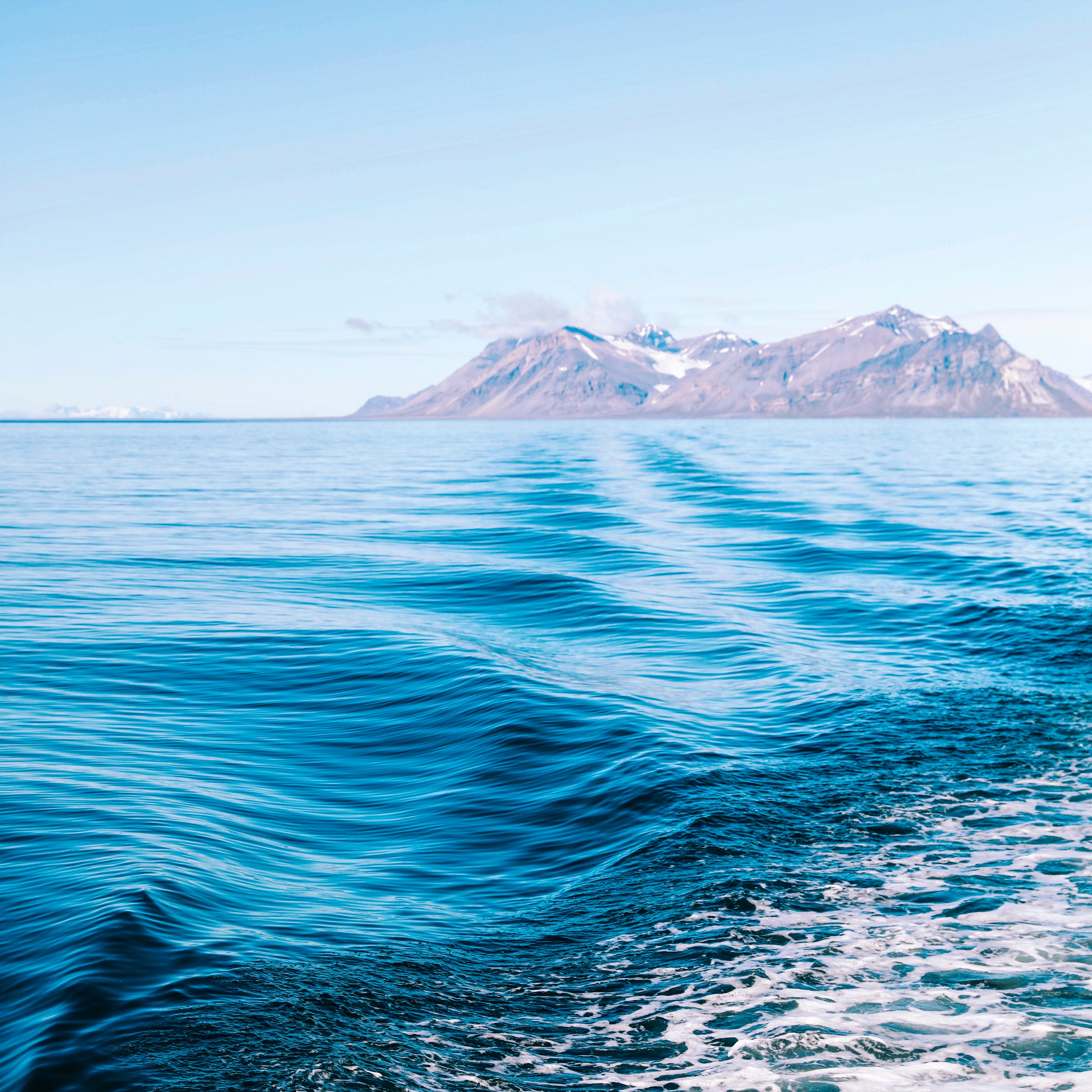 Sea pulse