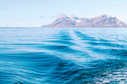 Sea pulse