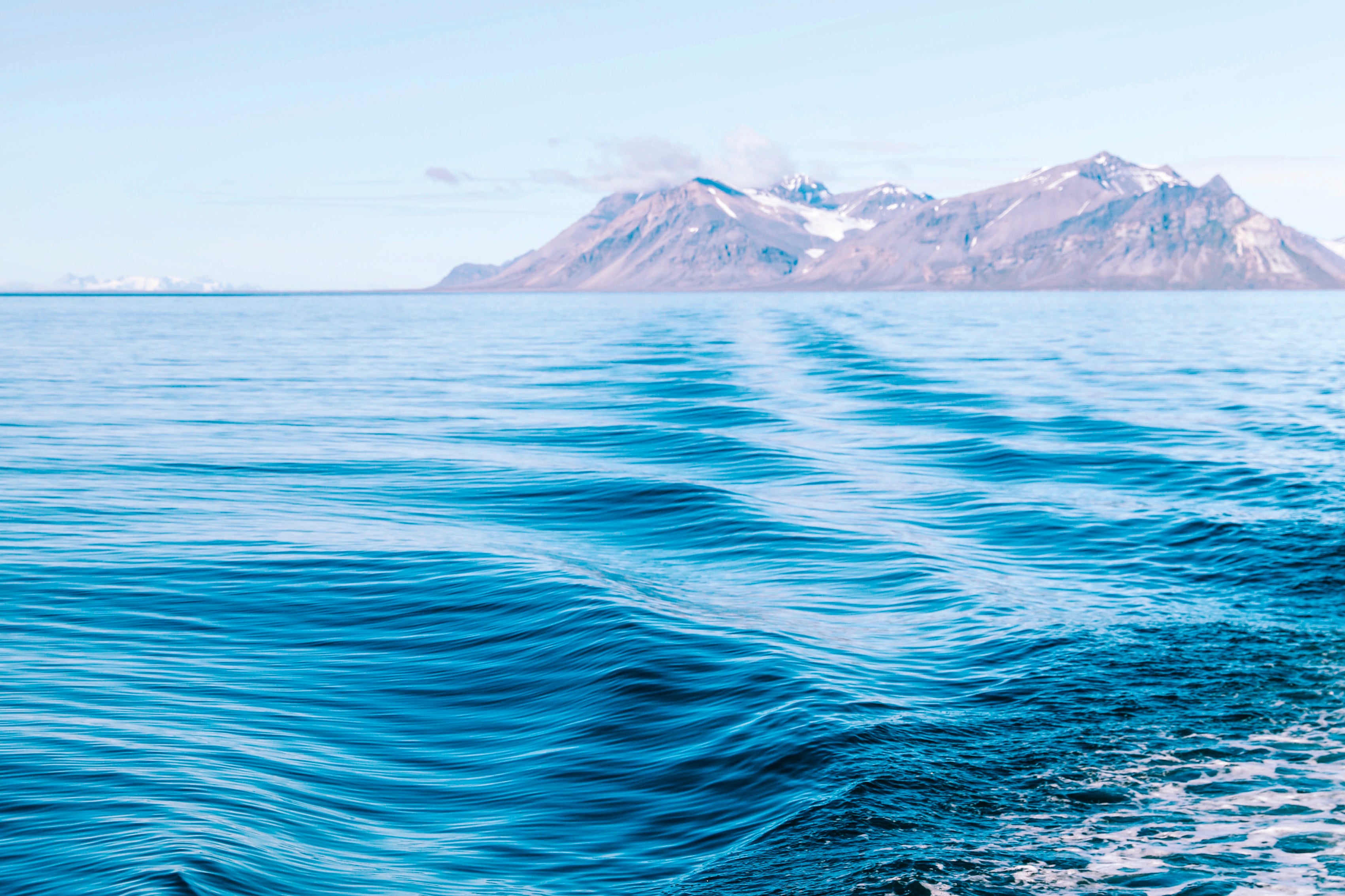 Sea pulse