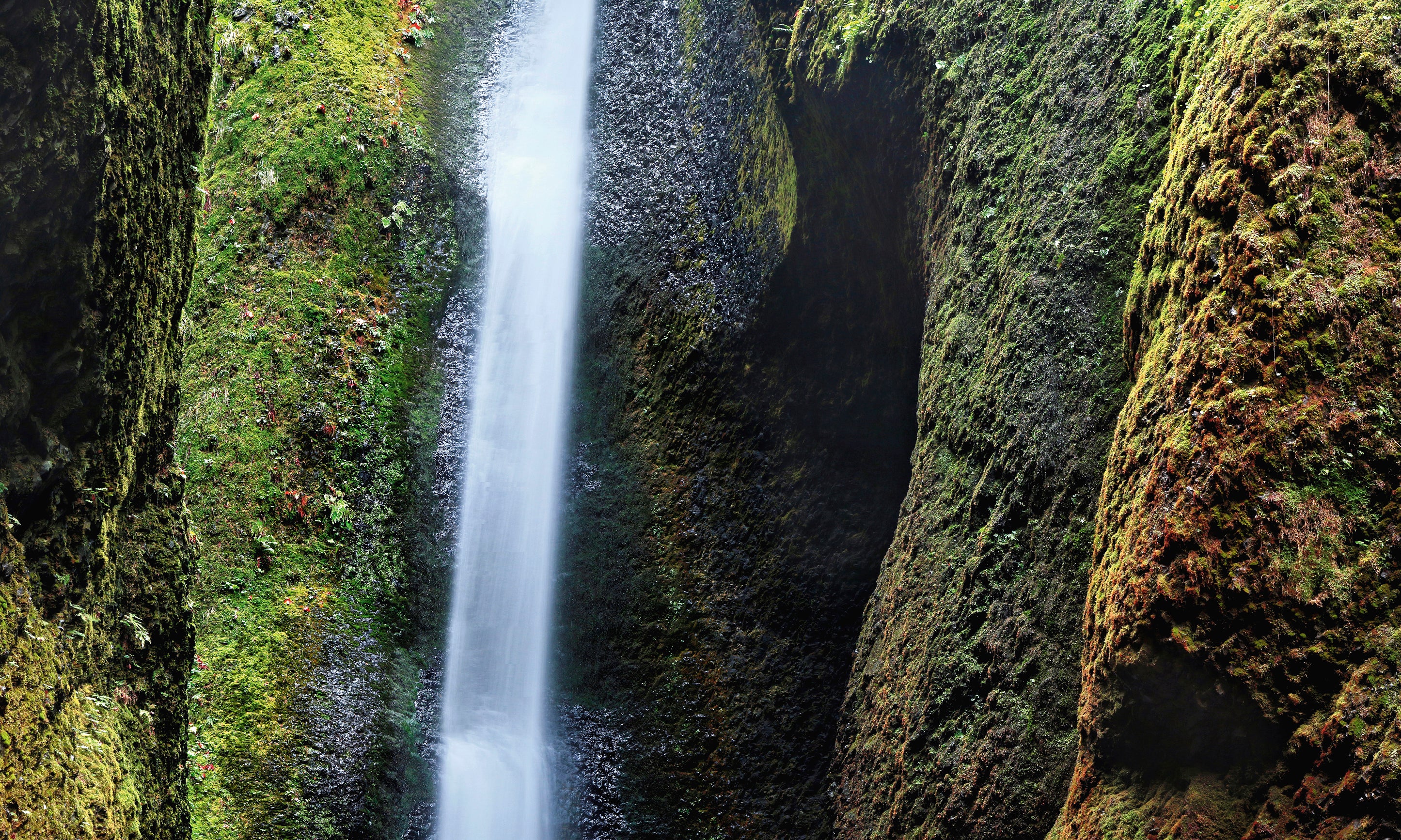 Secretfalls-100x160cm.jpg