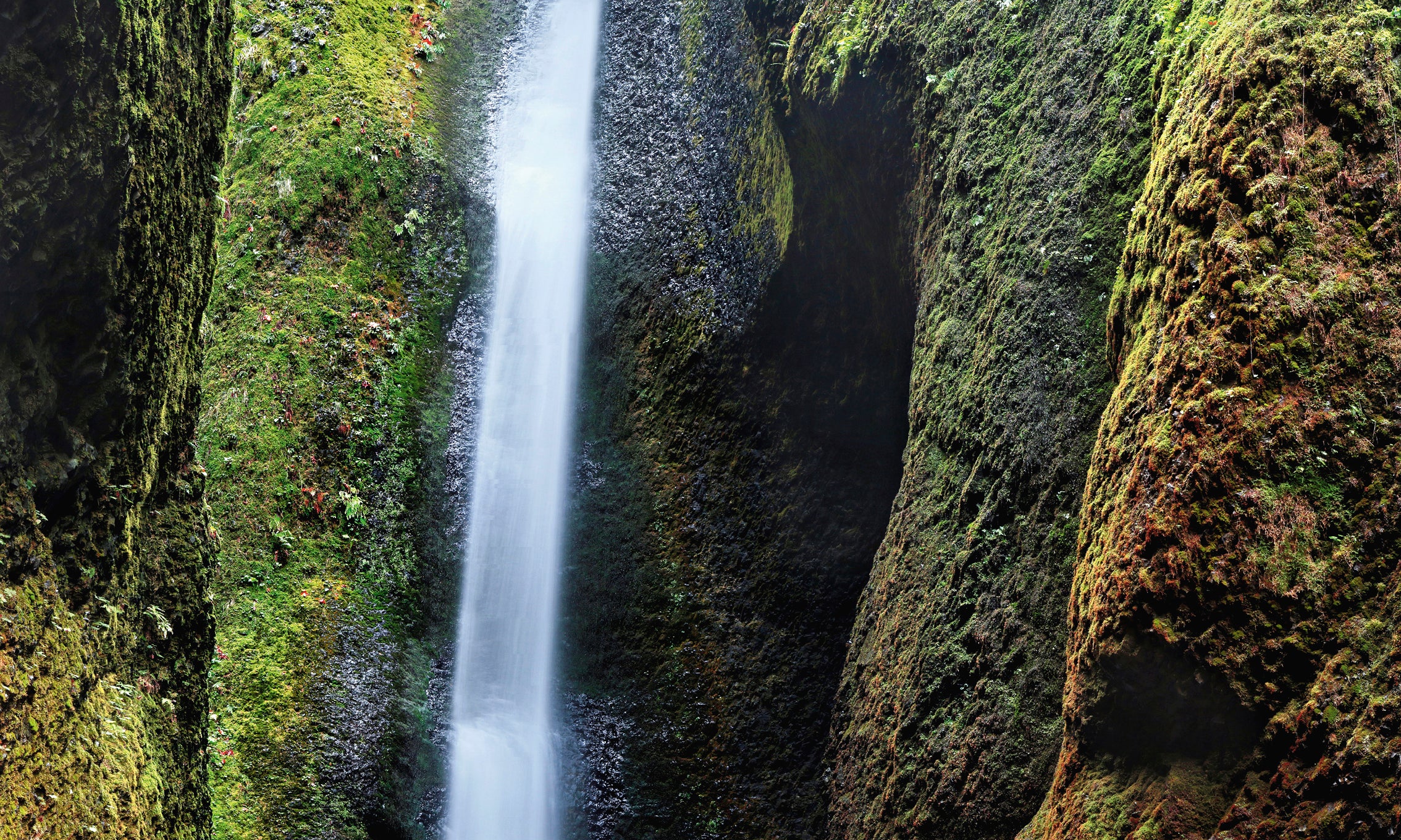 Secretfalls-80x120cm.jpg