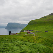 Shaded hamlet