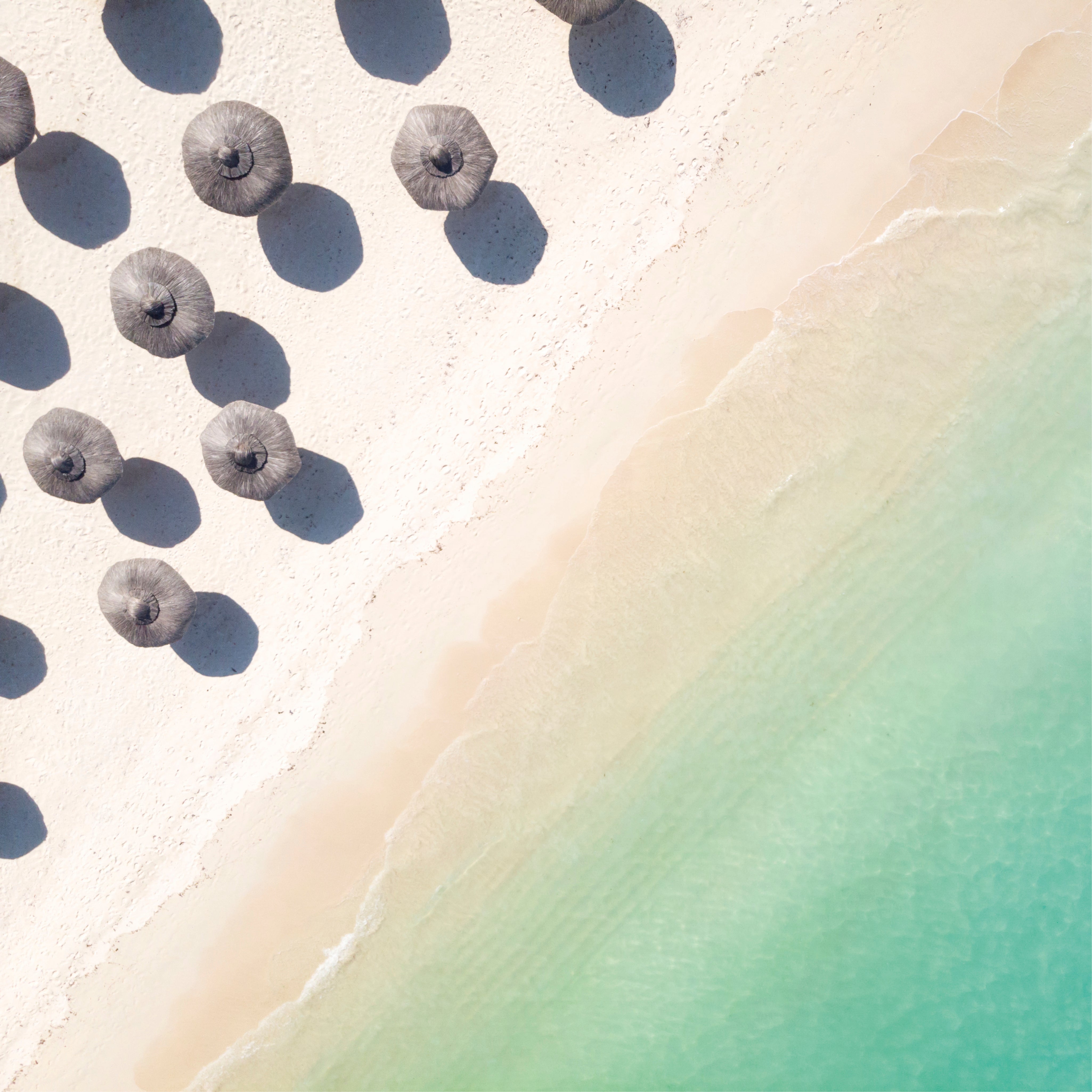 Shaded shore