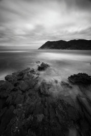 Shades of stillness
