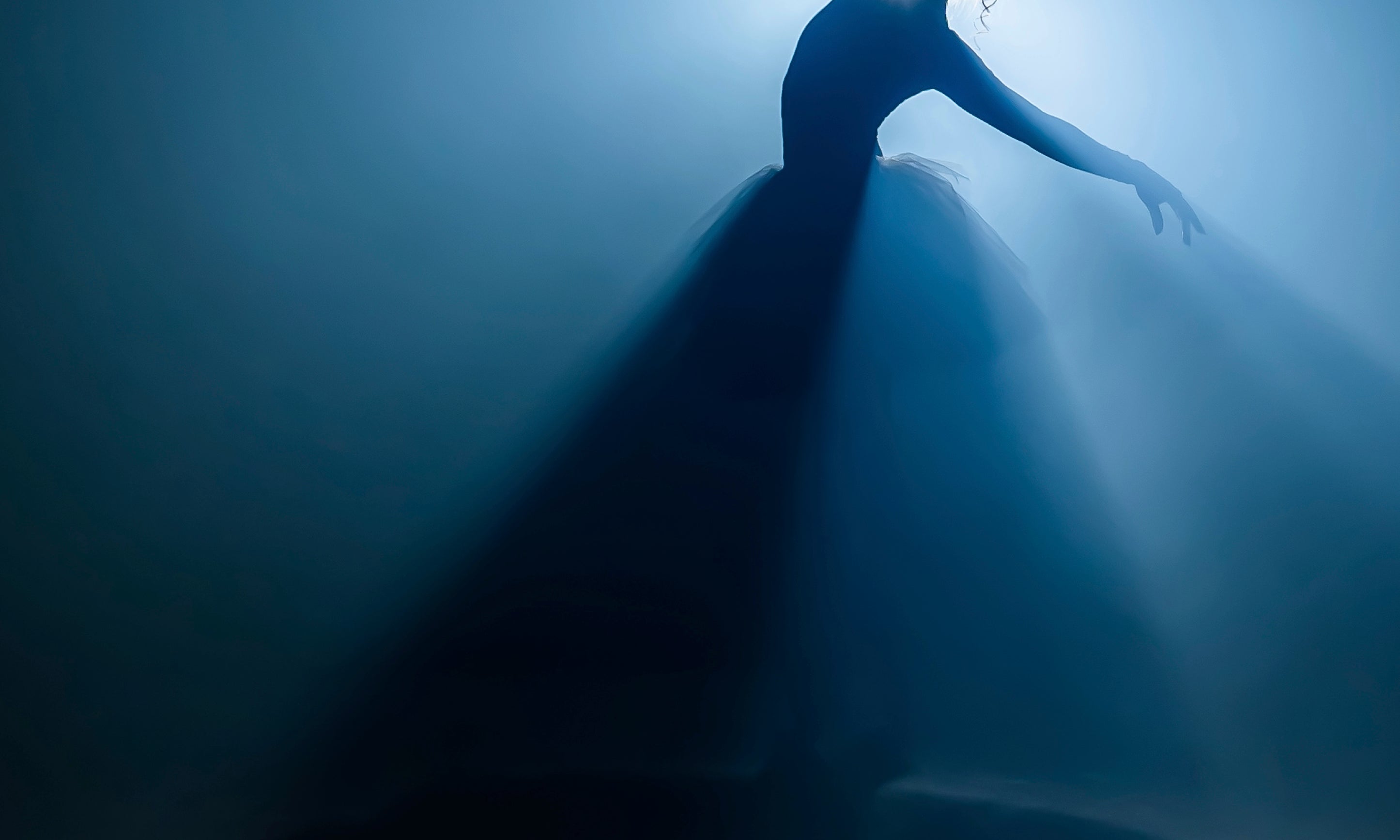 Shadowdance-100x160cm.jpg