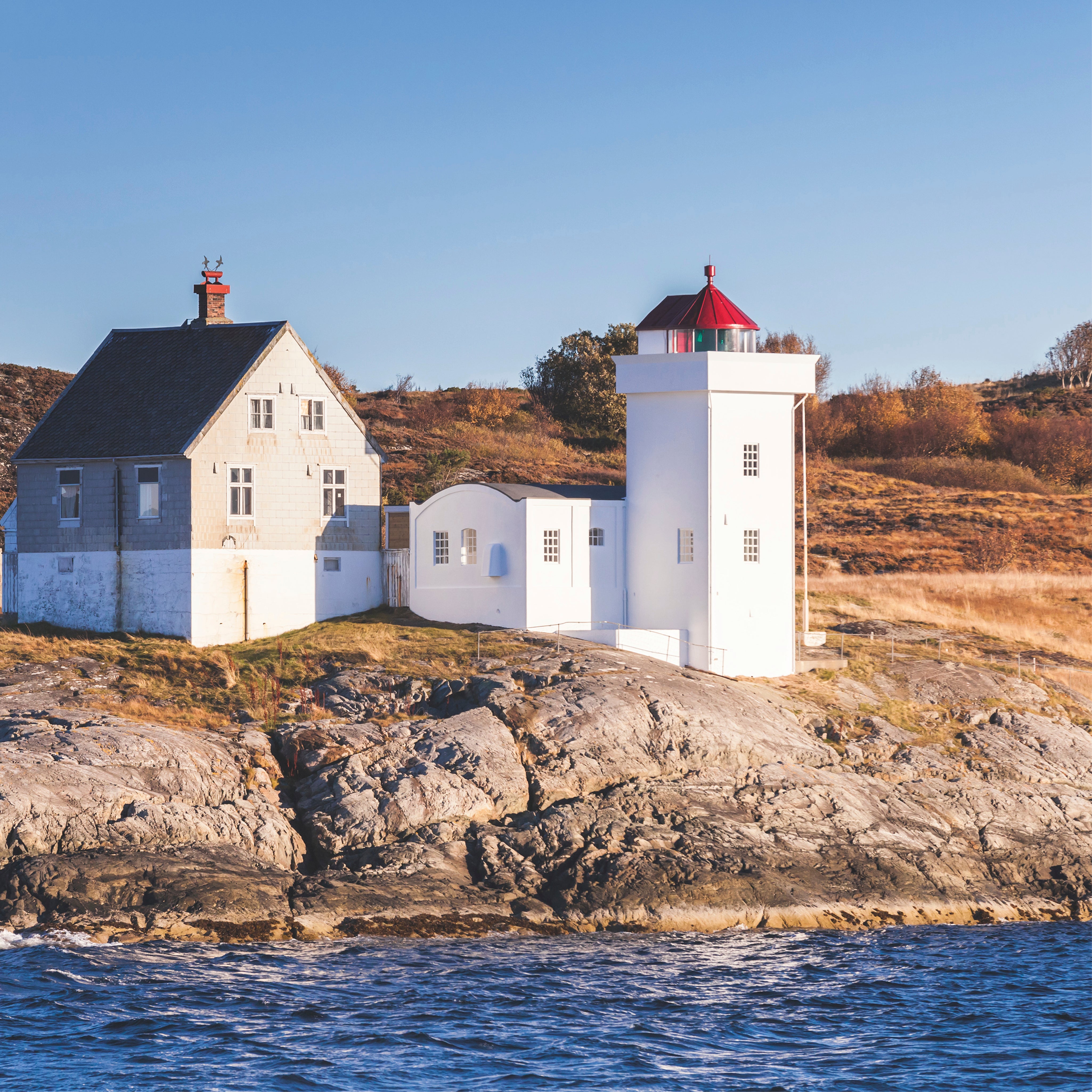 Shoreline light