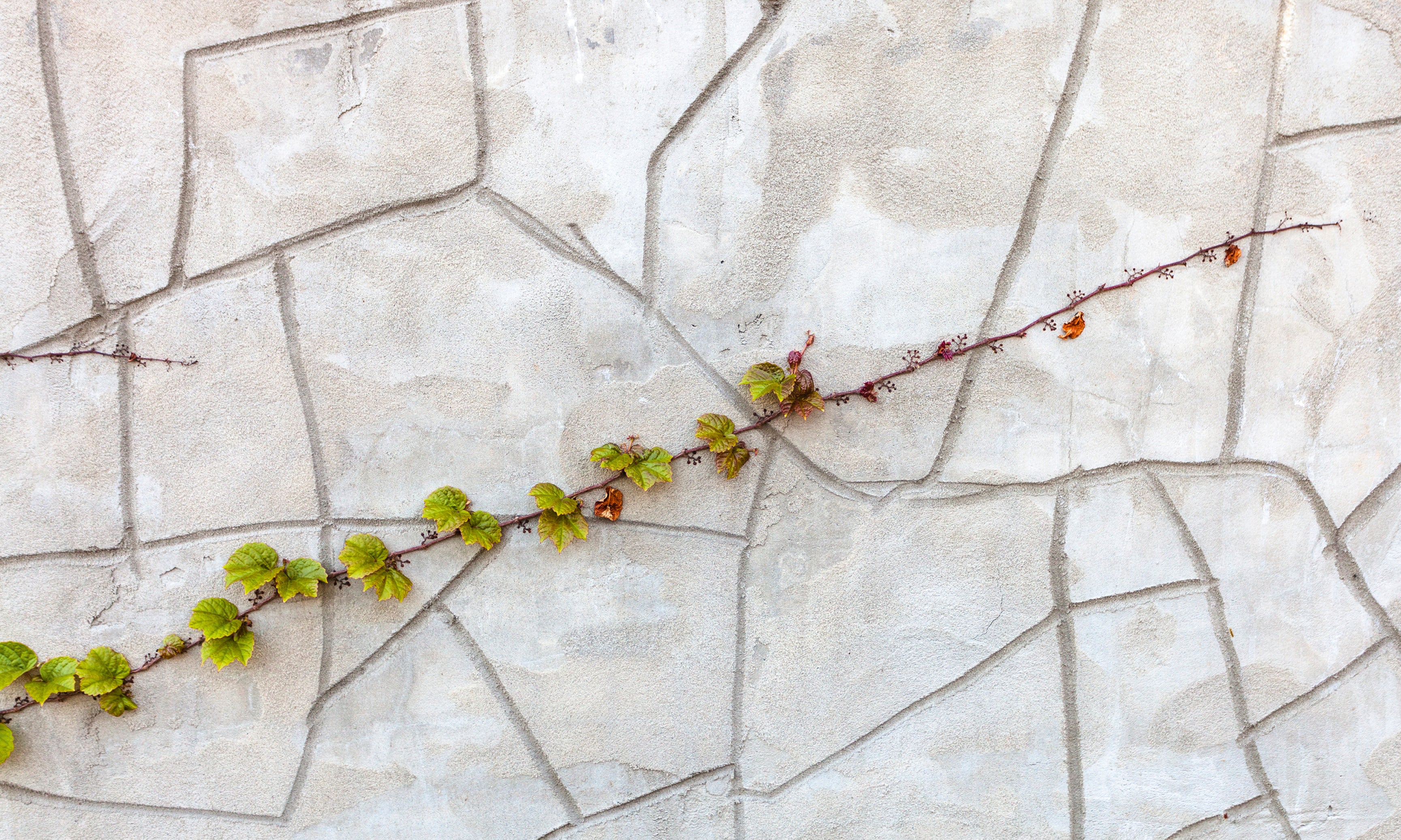 Silentclimb-120x80cm.jpg