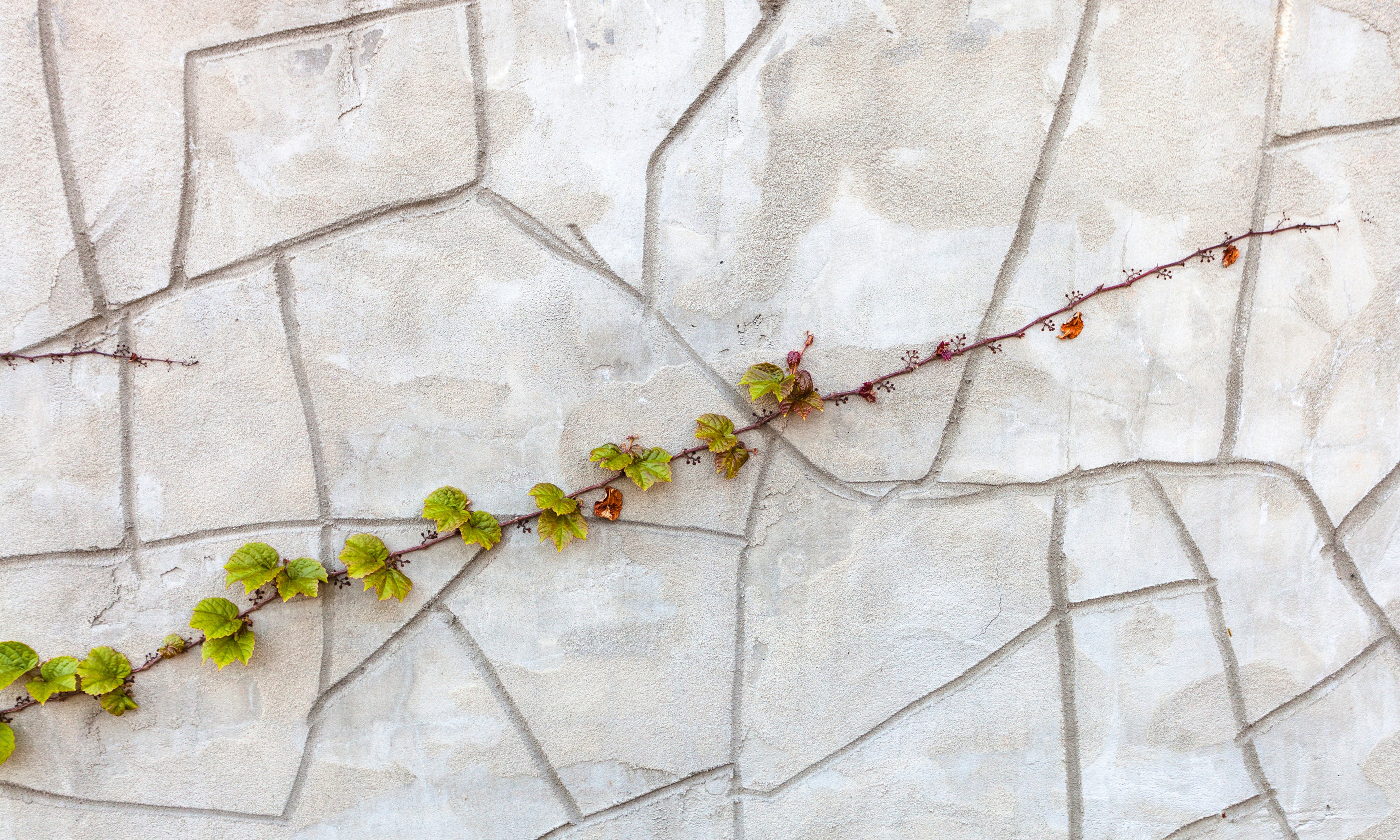 Silentclimb-150x100cm.jpg