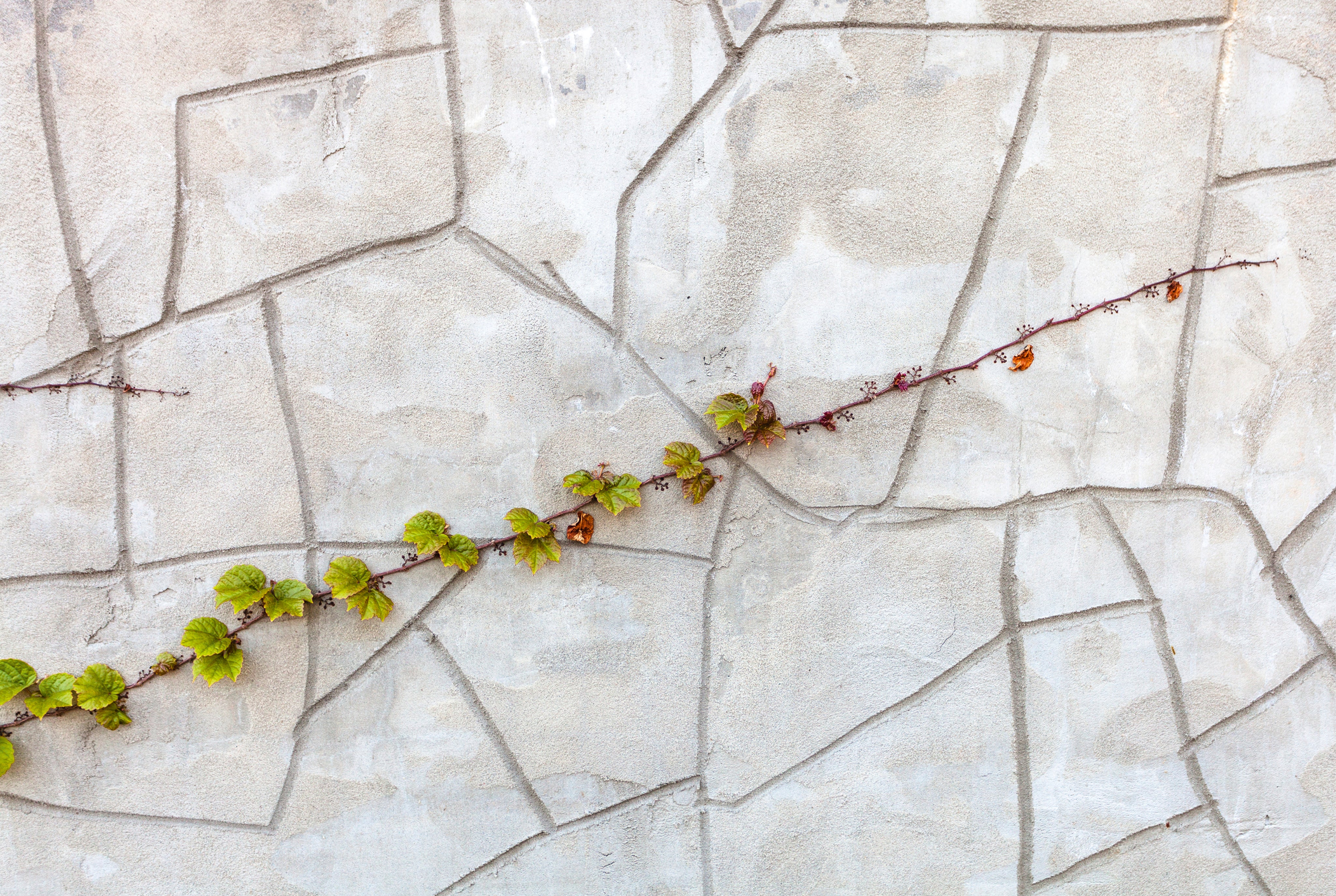 Silentclimb-150x100cm.jpg