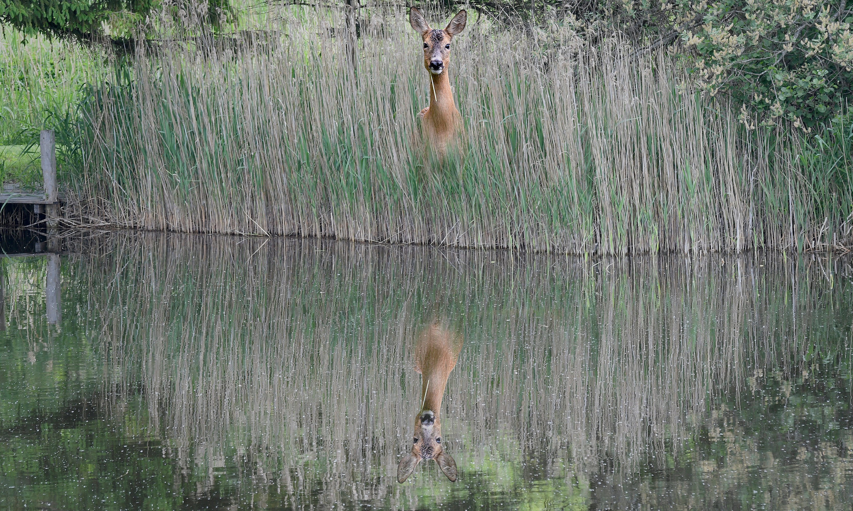 Silentreflection-120x80cm.jpg