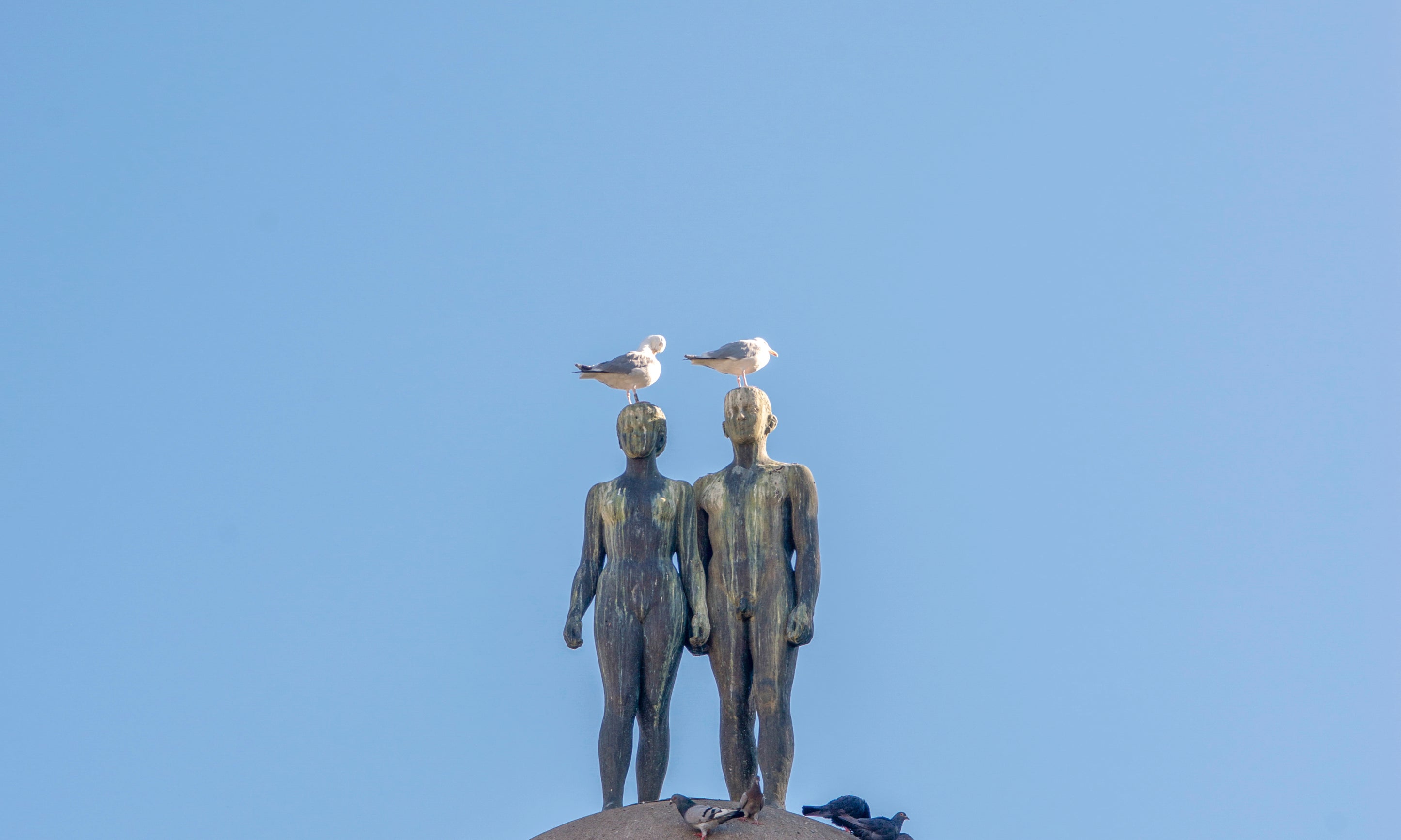 SkyCompanions-100x150cm.jpg