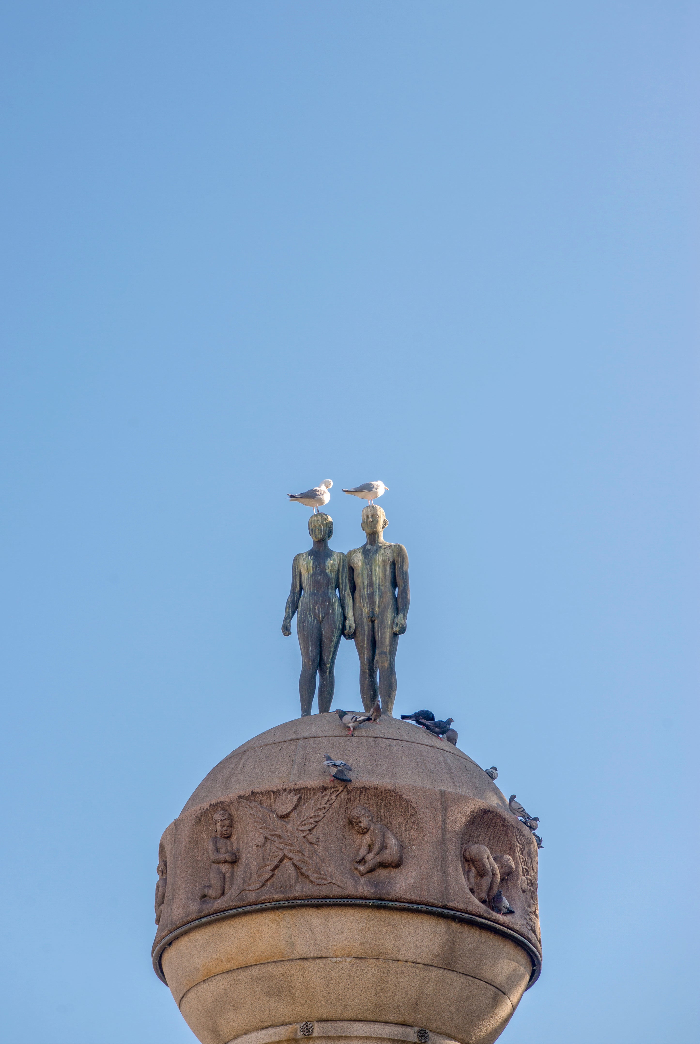 Sky Companions