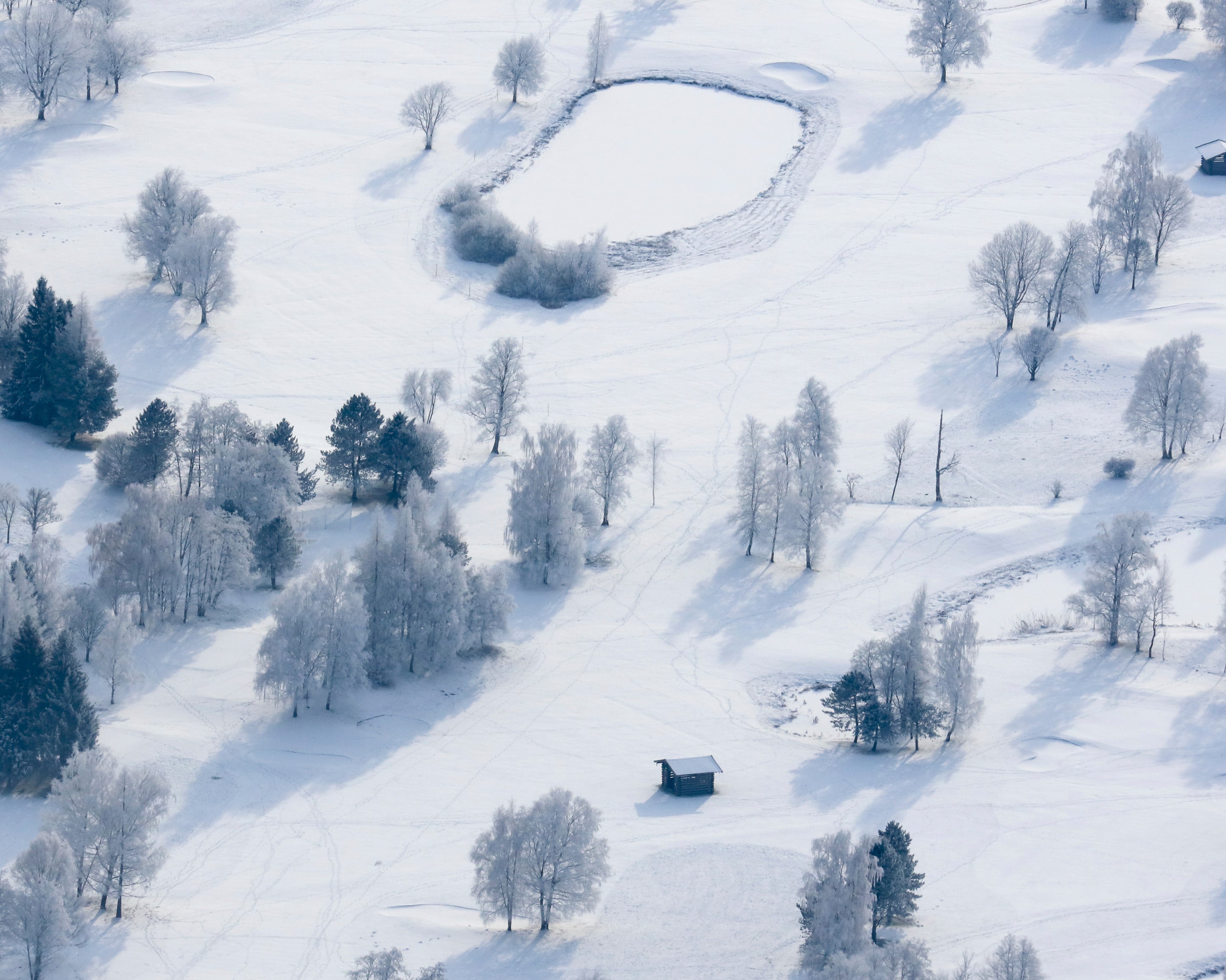 Snowbound-100x150cm.jpg