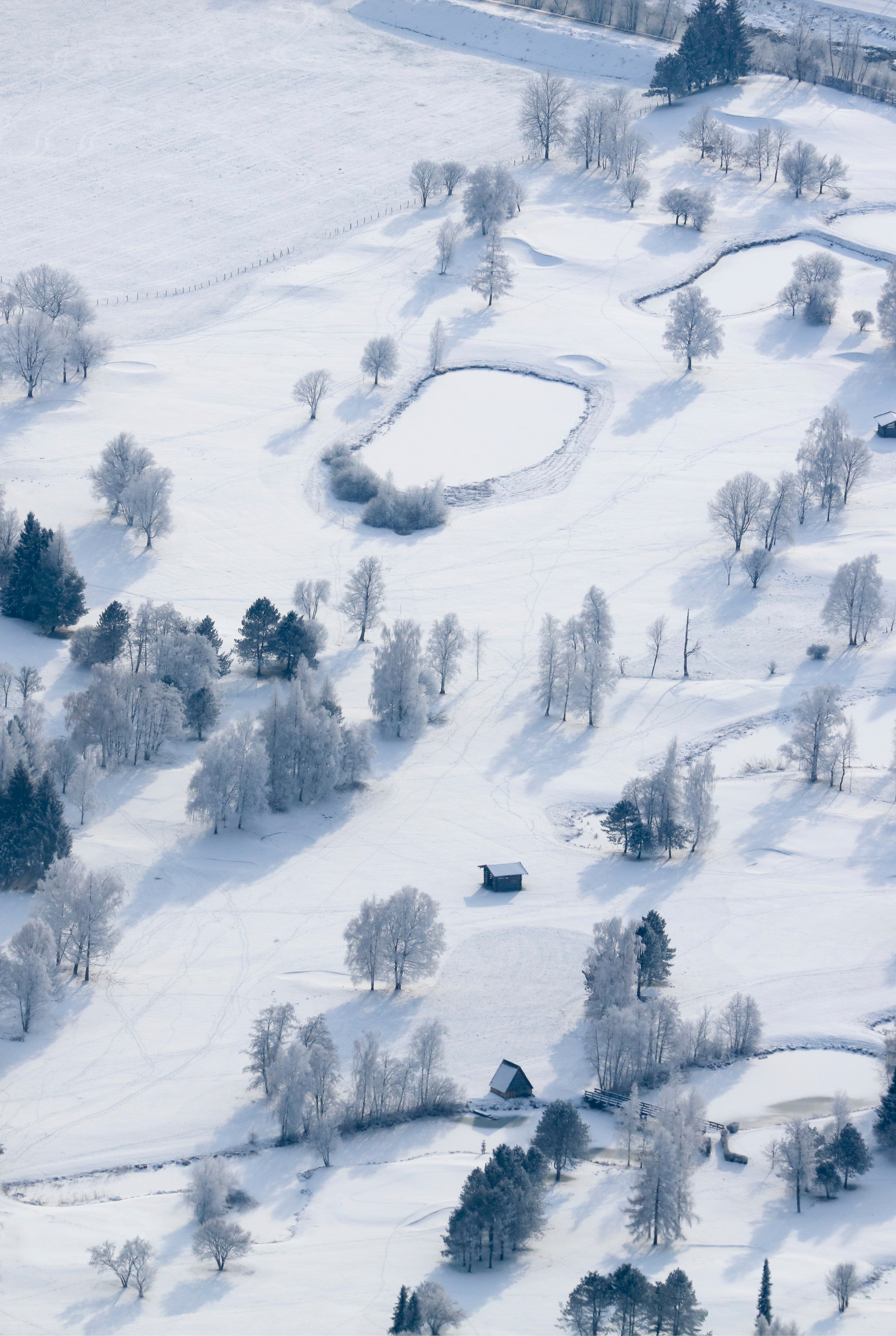 Echoes in white