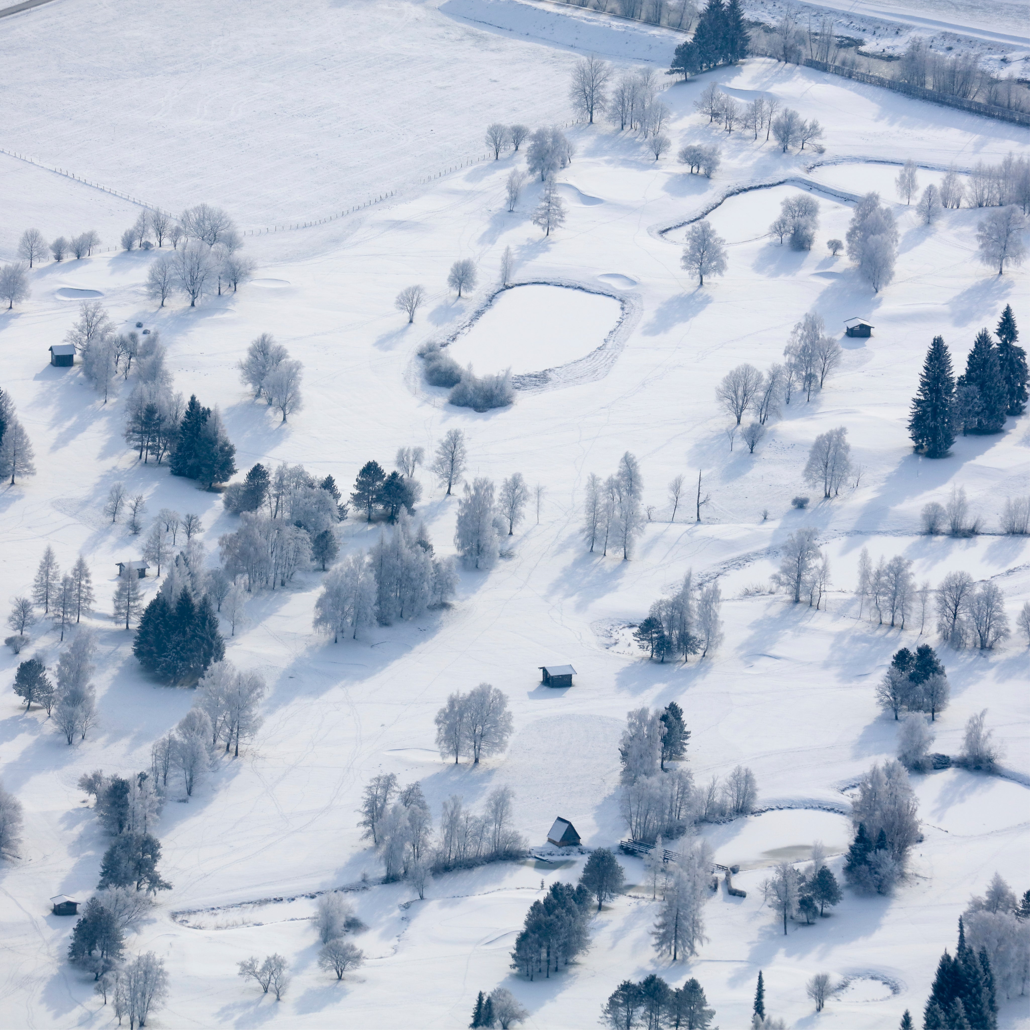 Echoes in white