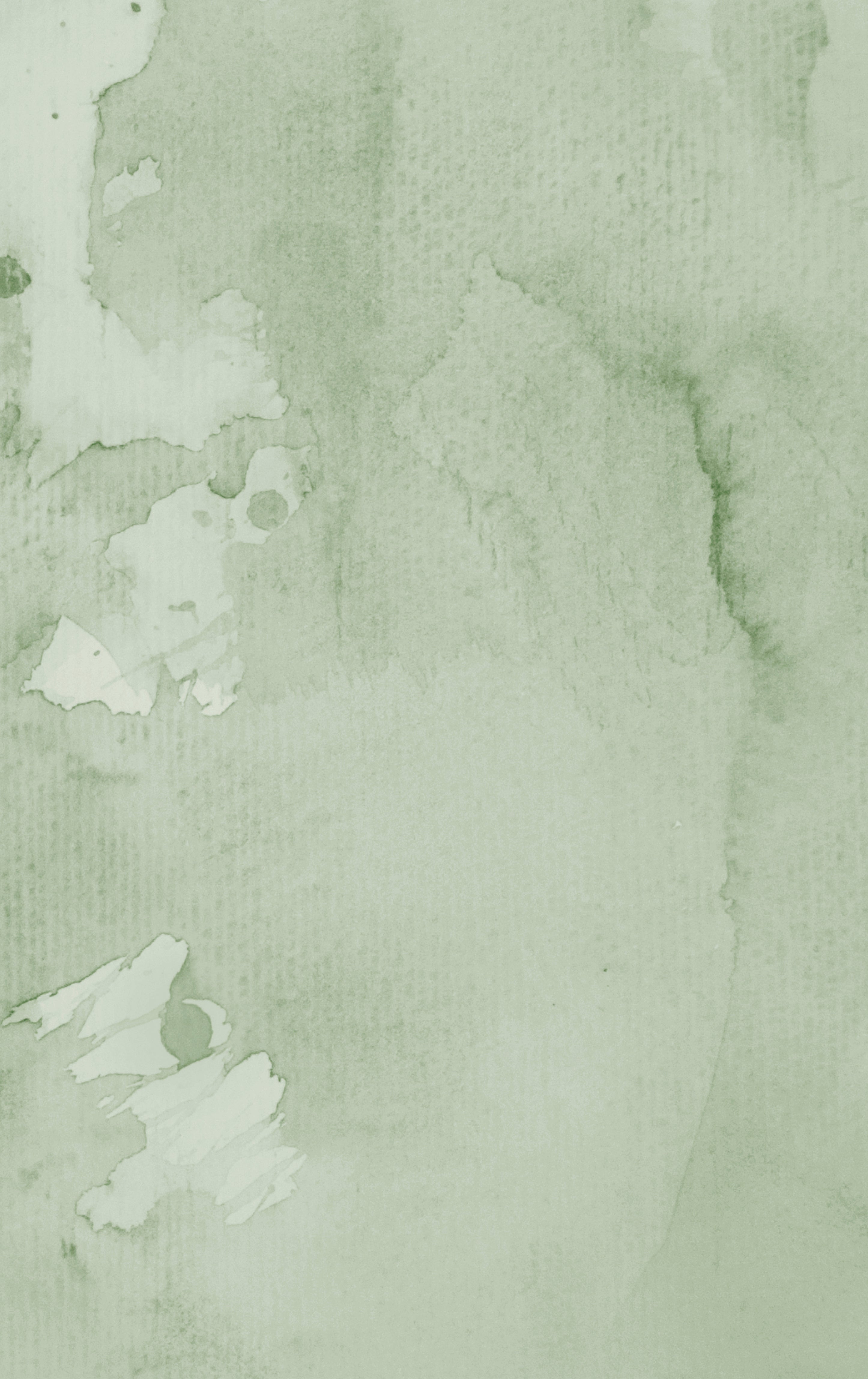 Soft eucalyptus
