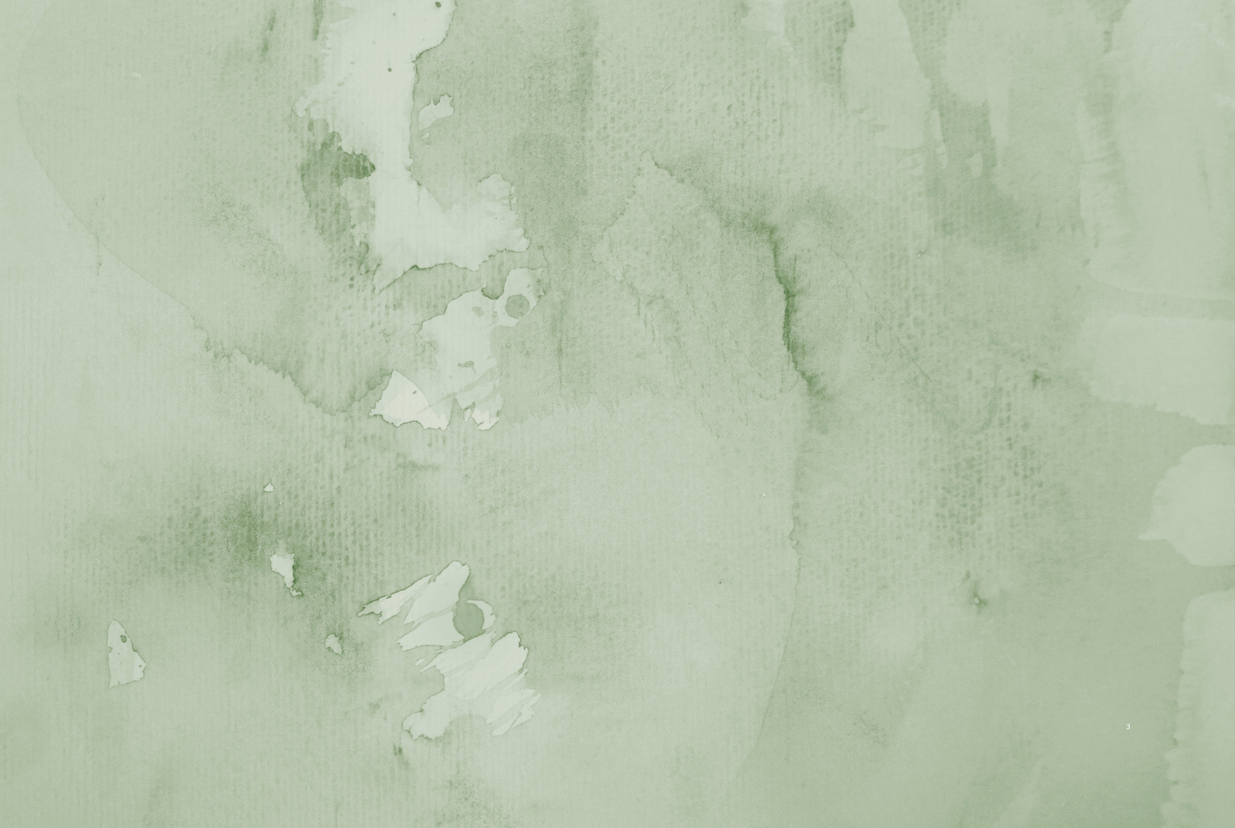 Soft eucalyptus
