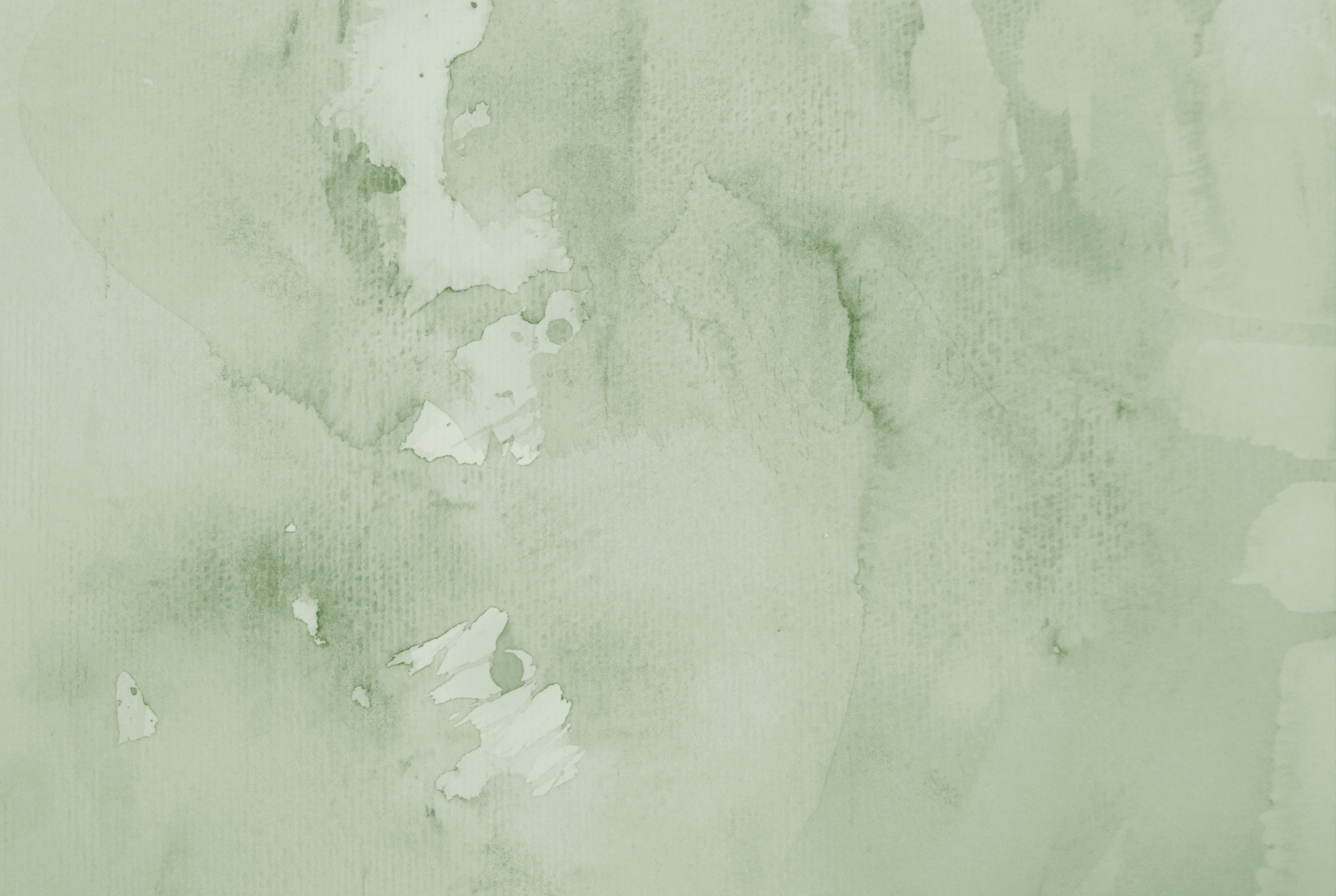 Soft eucalyptus