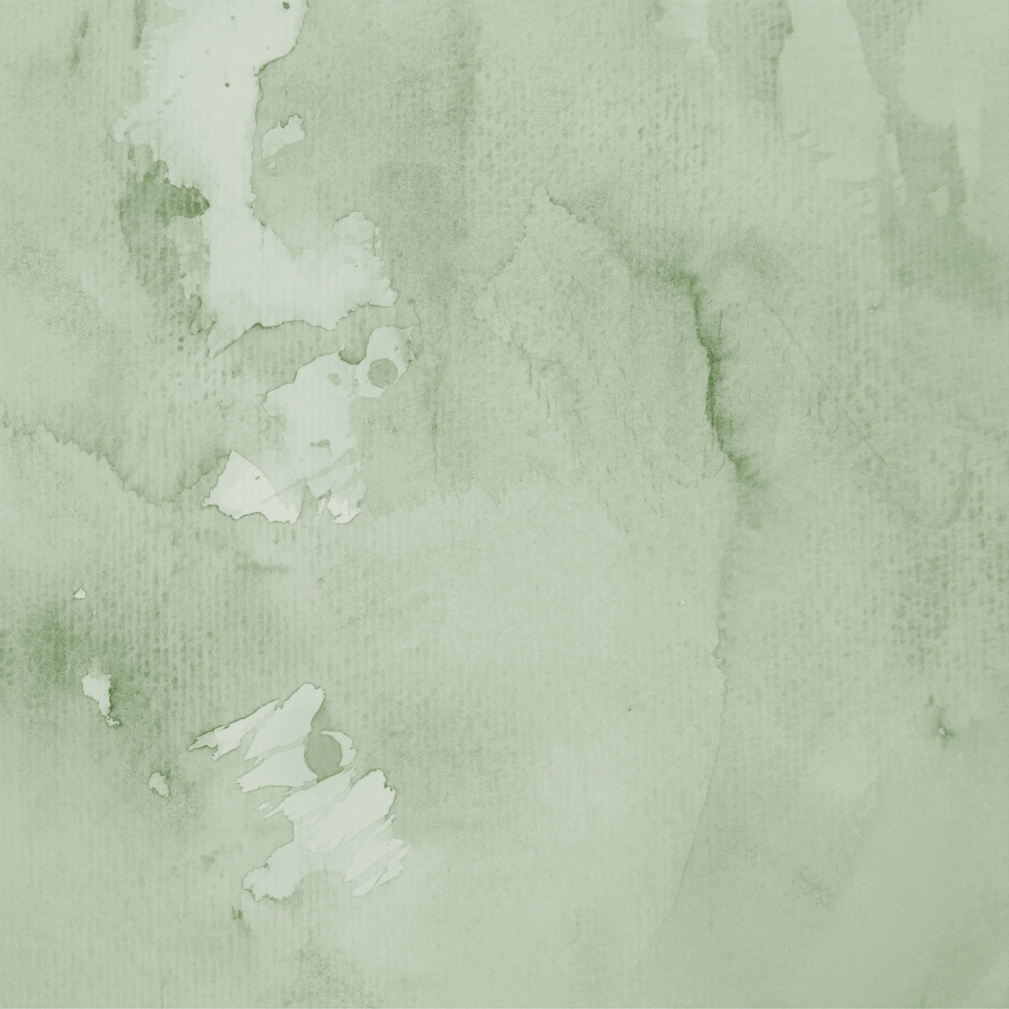 Soft eucalyptus