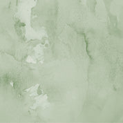 Soft eucalyptus
