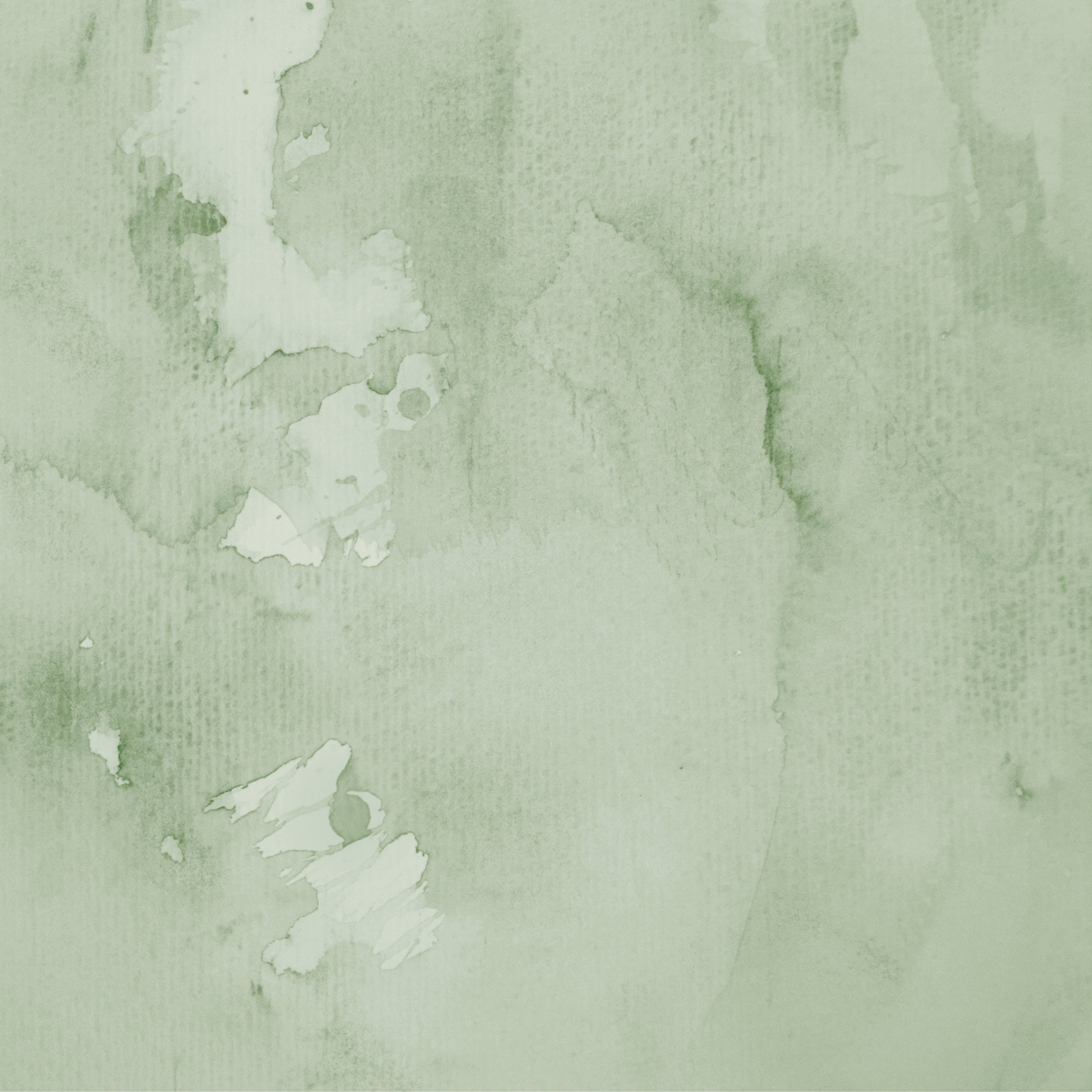 Soft eucalyptus