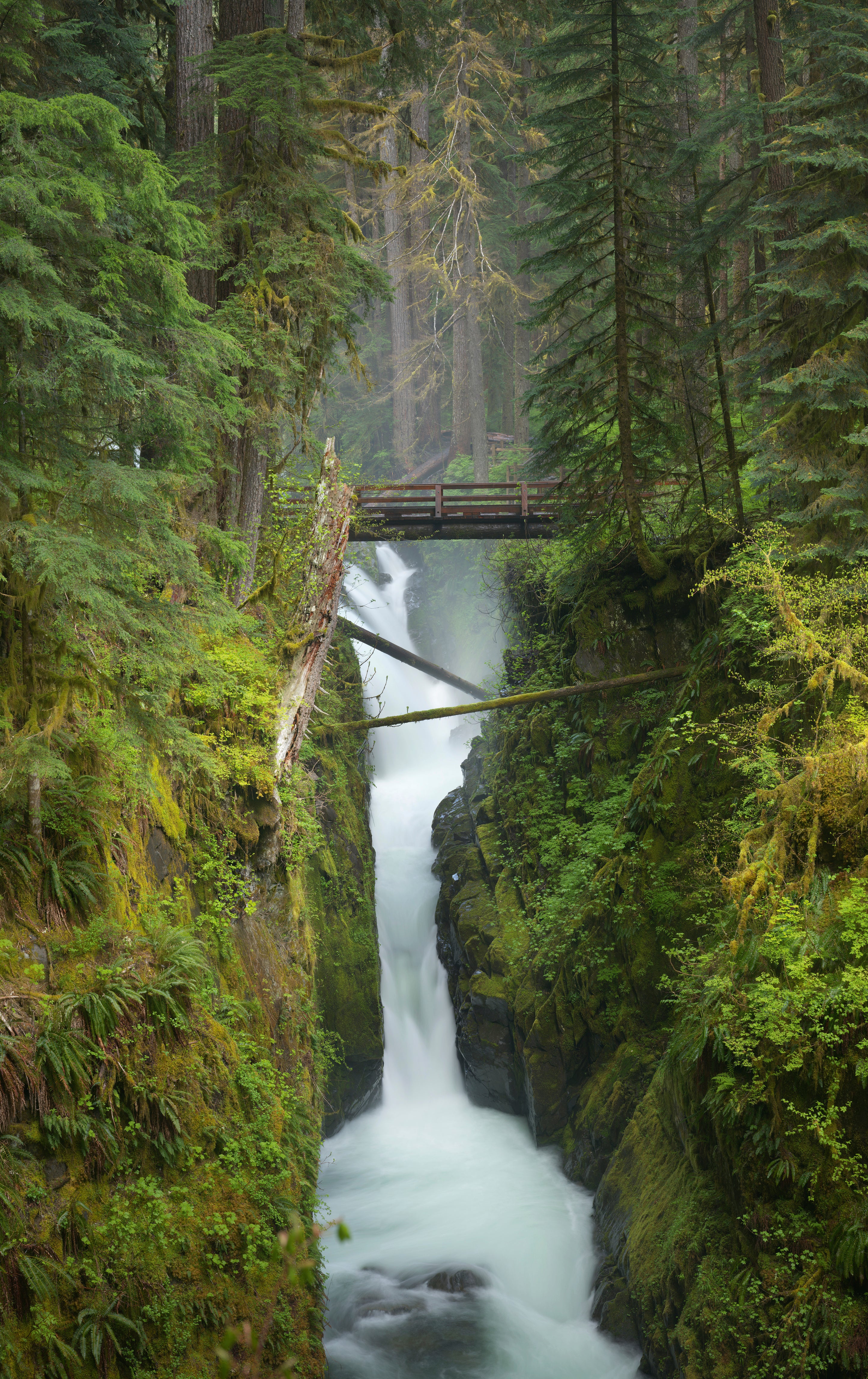 Sol Duc Falls