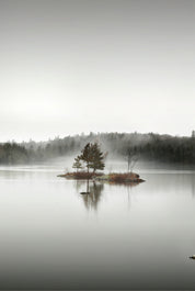 Solitude