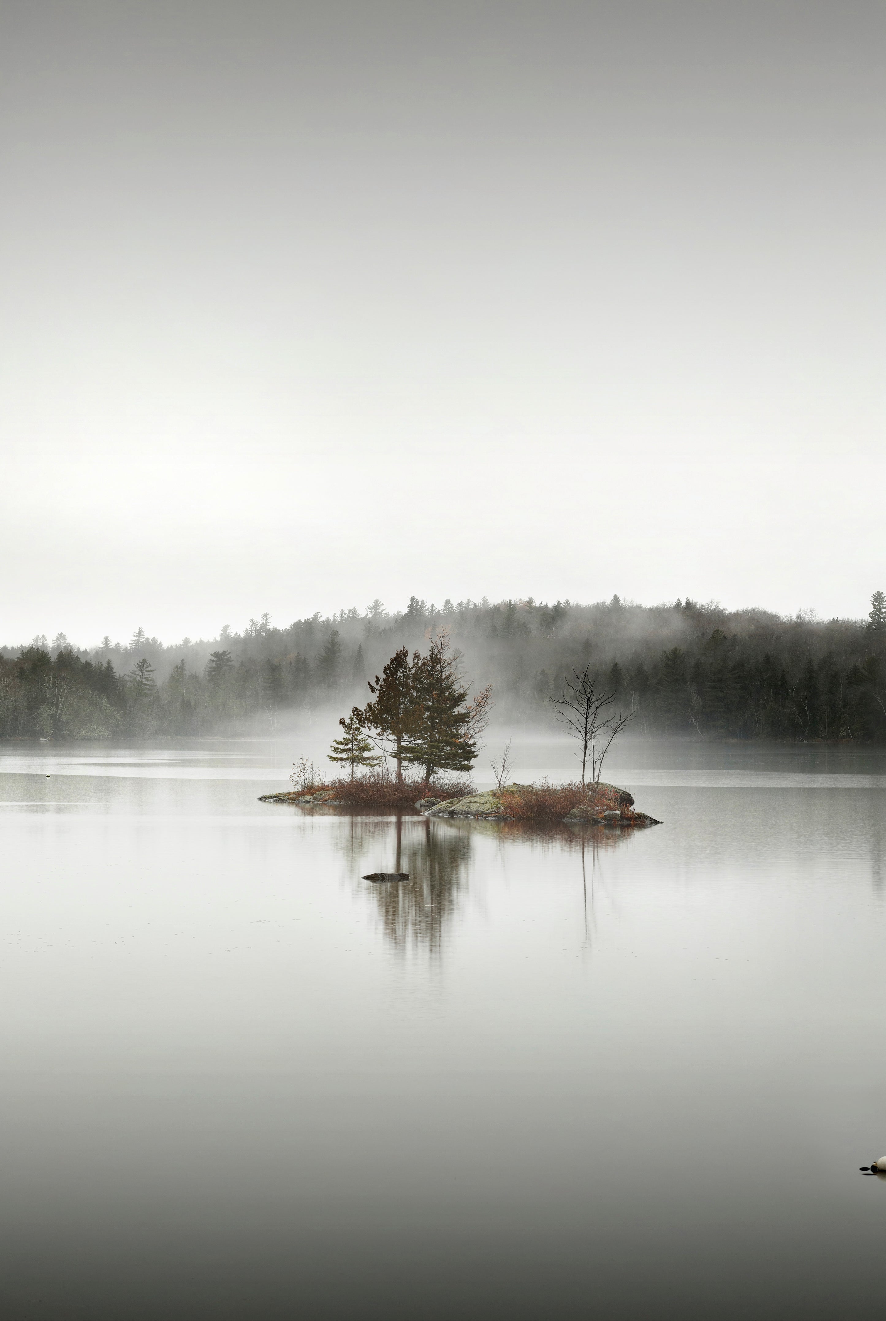 Solitude