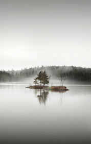 Solitude