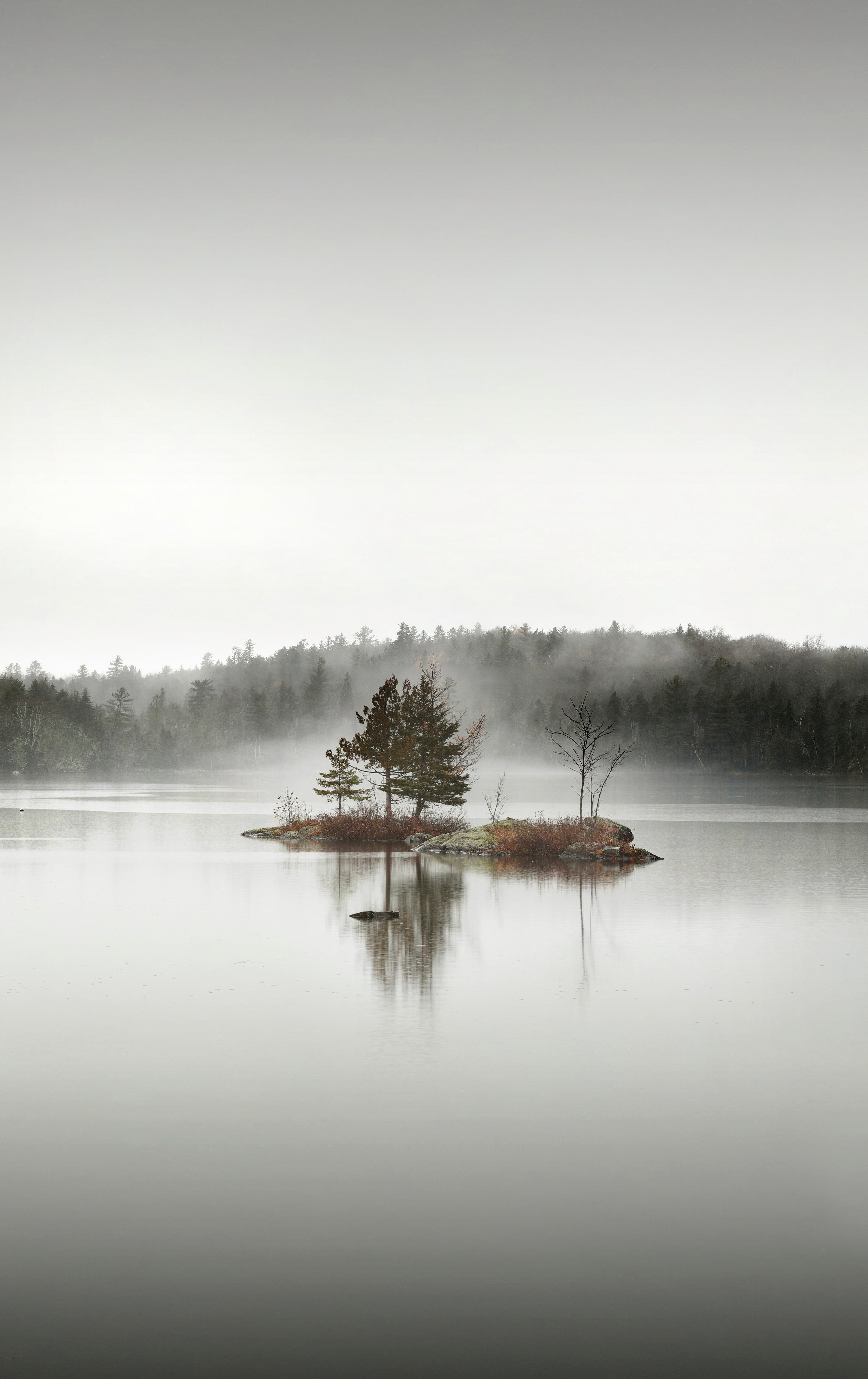 Solitude