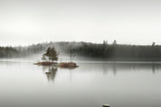 Solitude