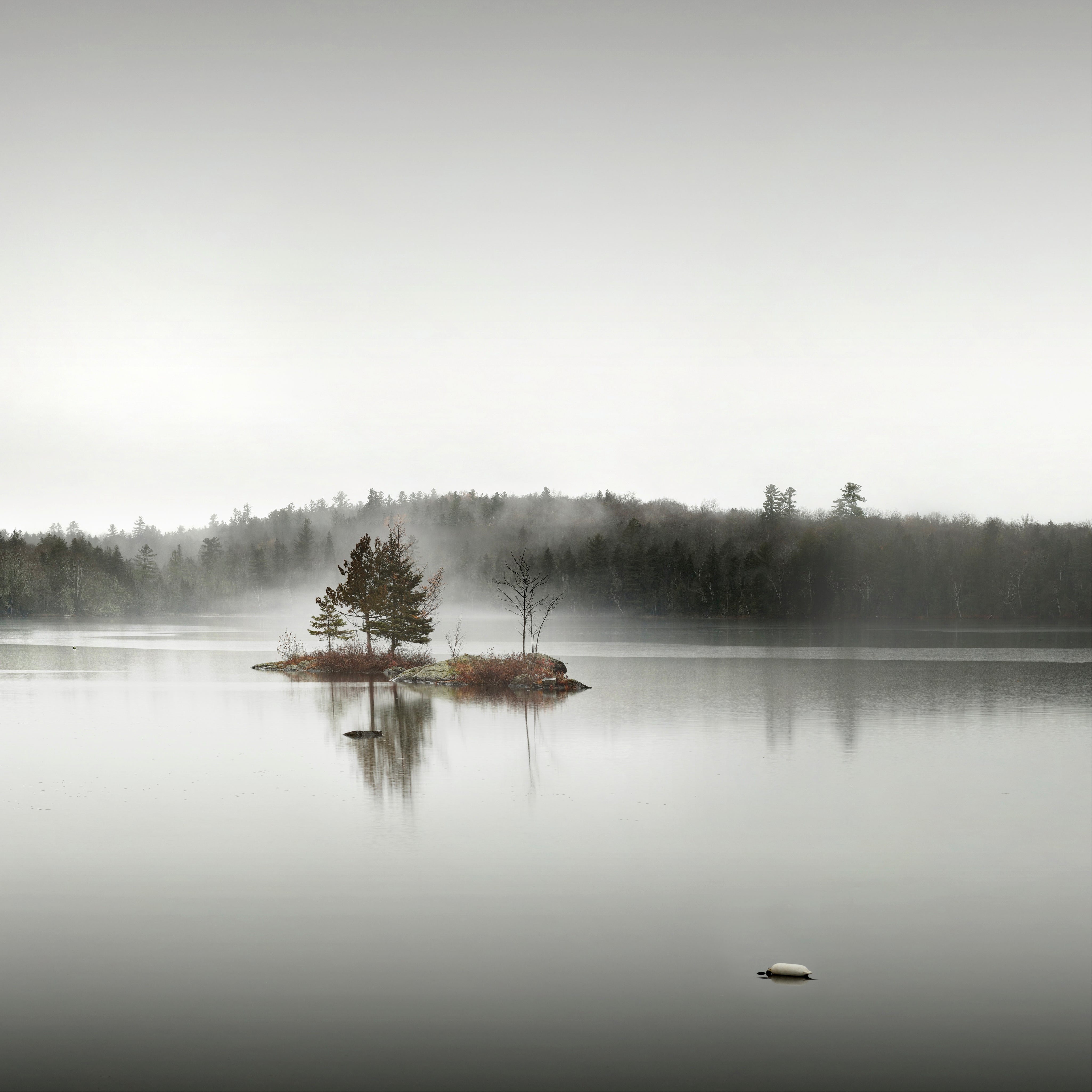 Solitude