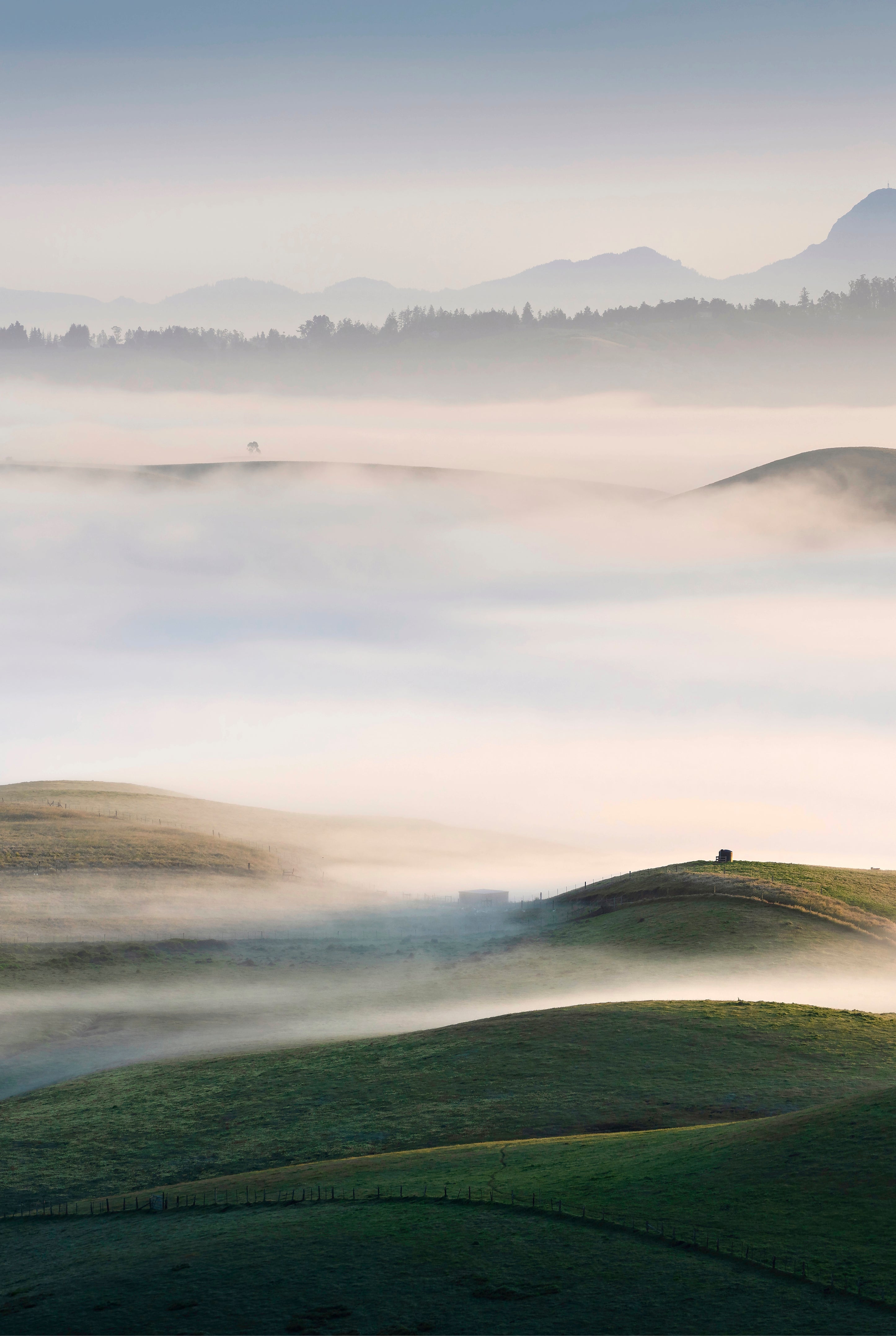 Sonoma Morning