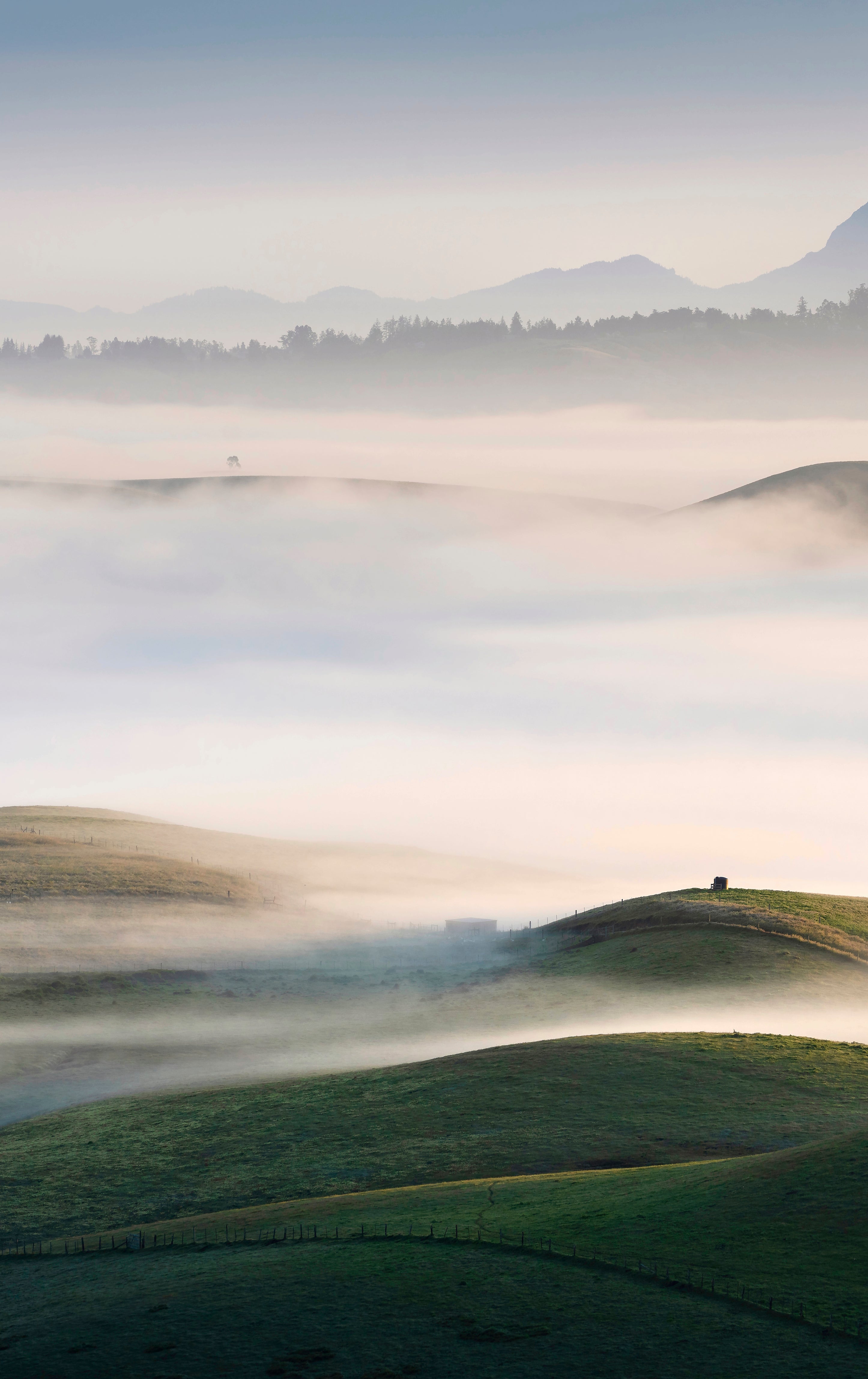 Sonoma Morning