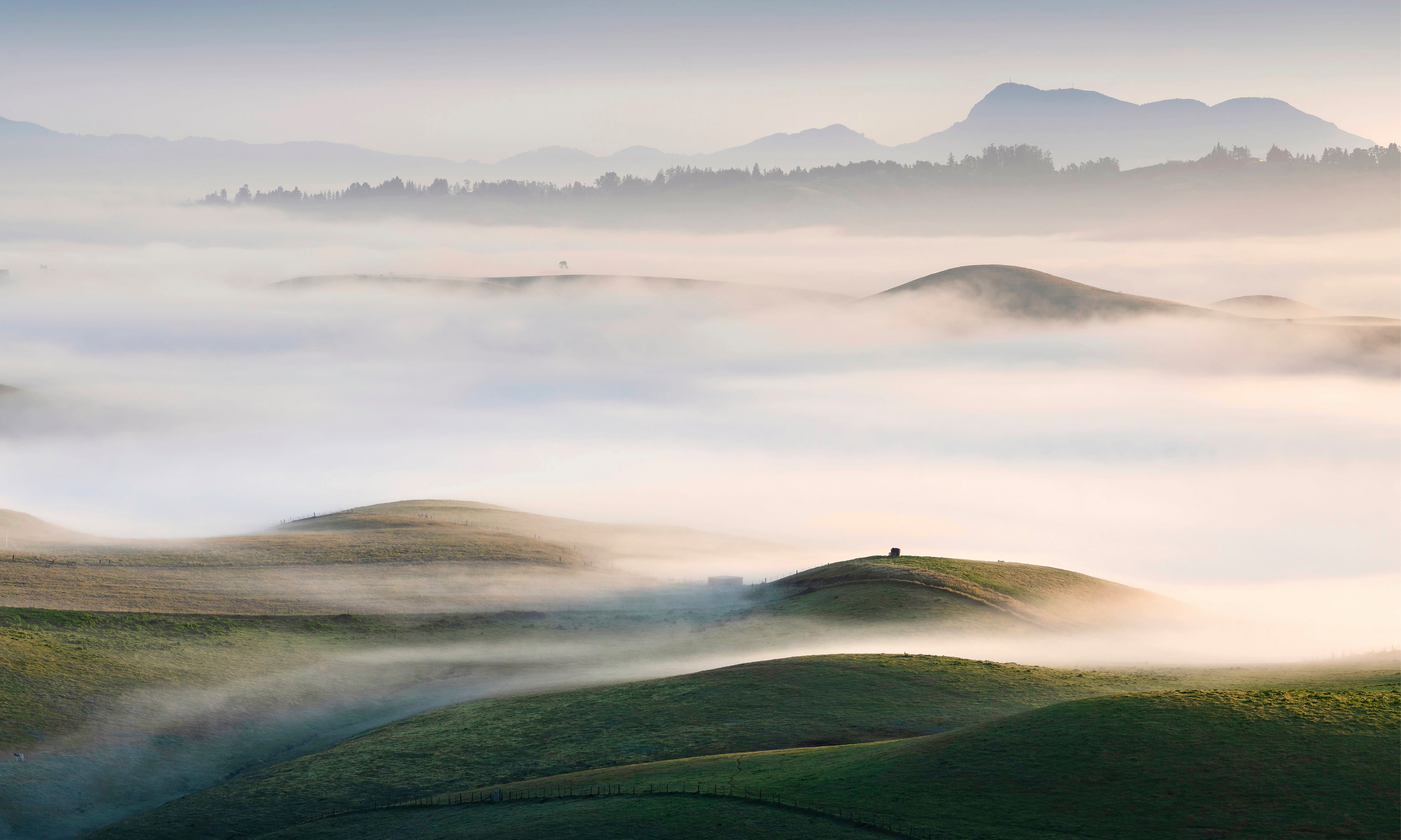 SonomaMorning-150x100cm.jpg