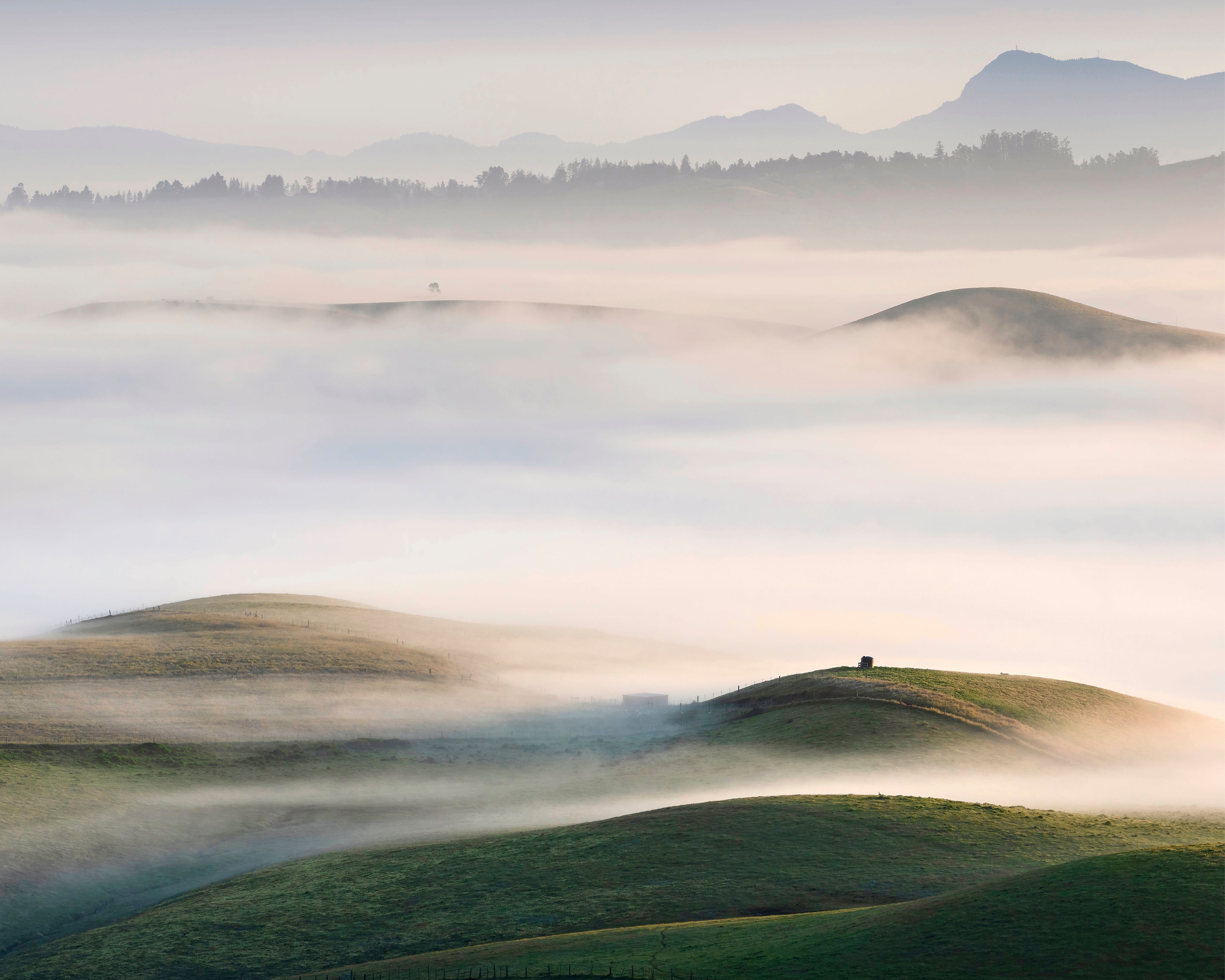 SonomaMorning-150x150cm.jpg