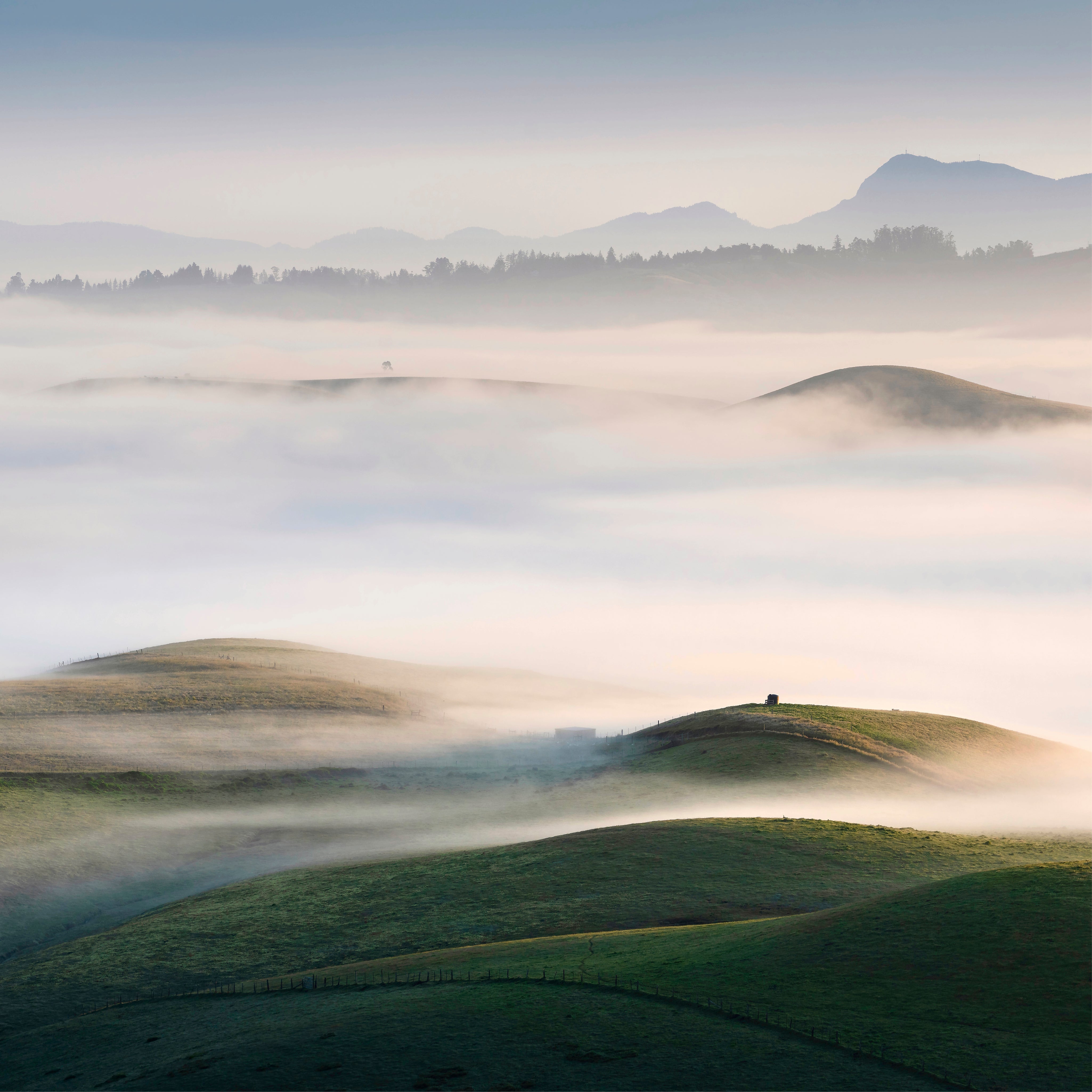 Sonoma Morning