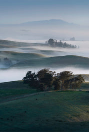 Sonoma Morning goes on