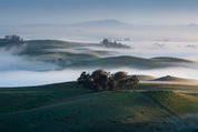 Sonoma Morning goes on