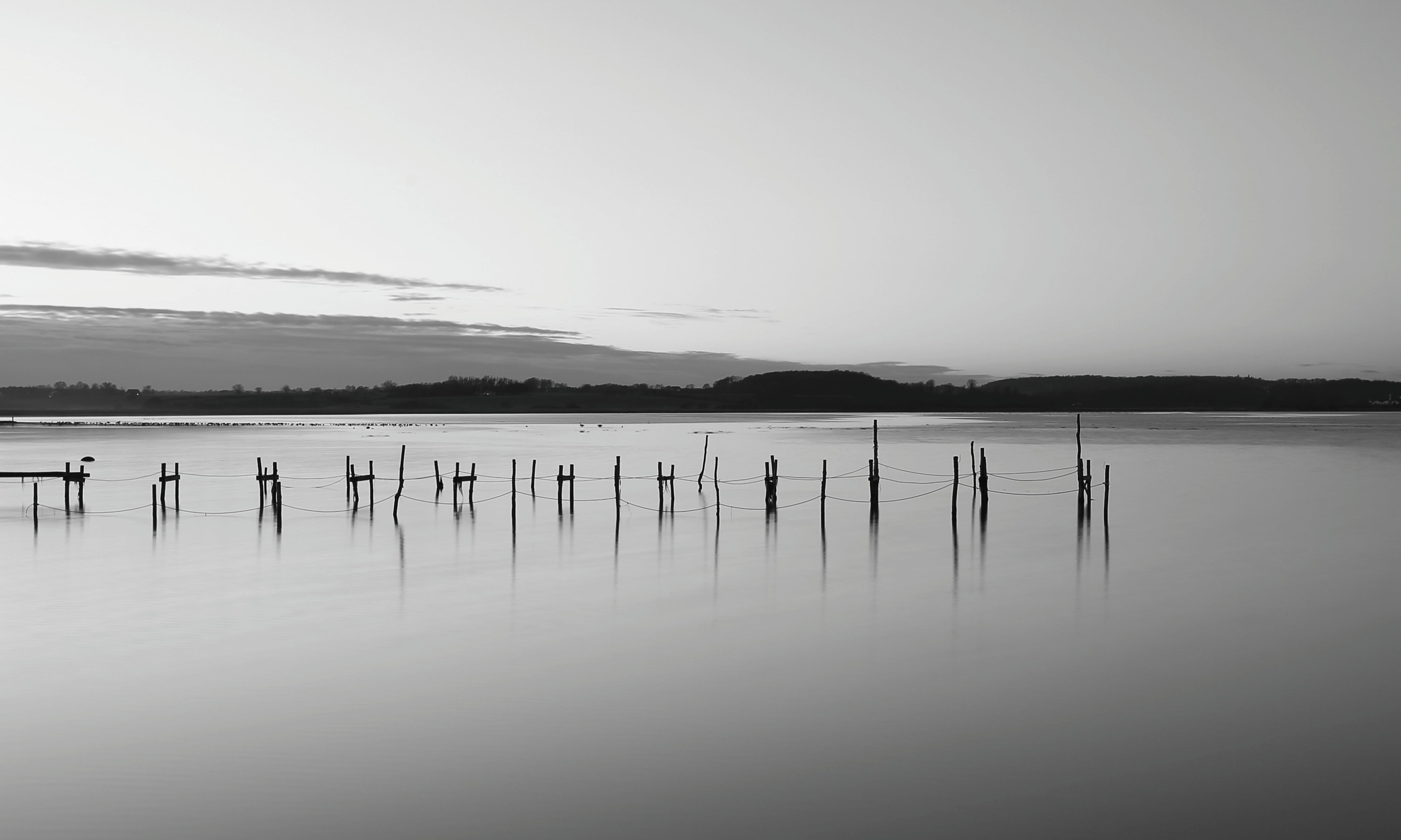 Still-150x150cm.jpg